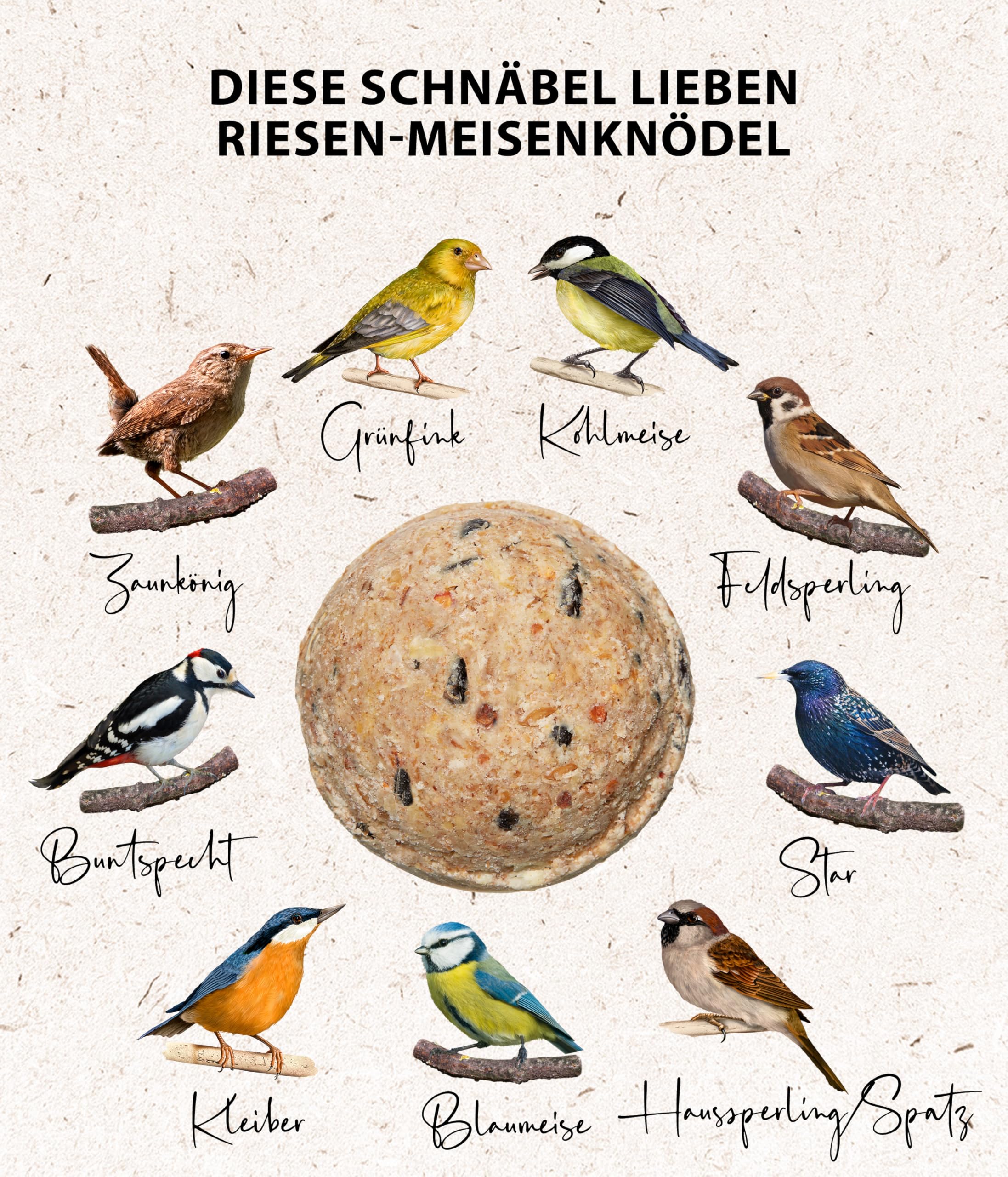 Dehner Natura Premium Nourriture pour Oiseaux Sauvages, Boules de Graisse géantes, 21 pièces (5,25 kg)
