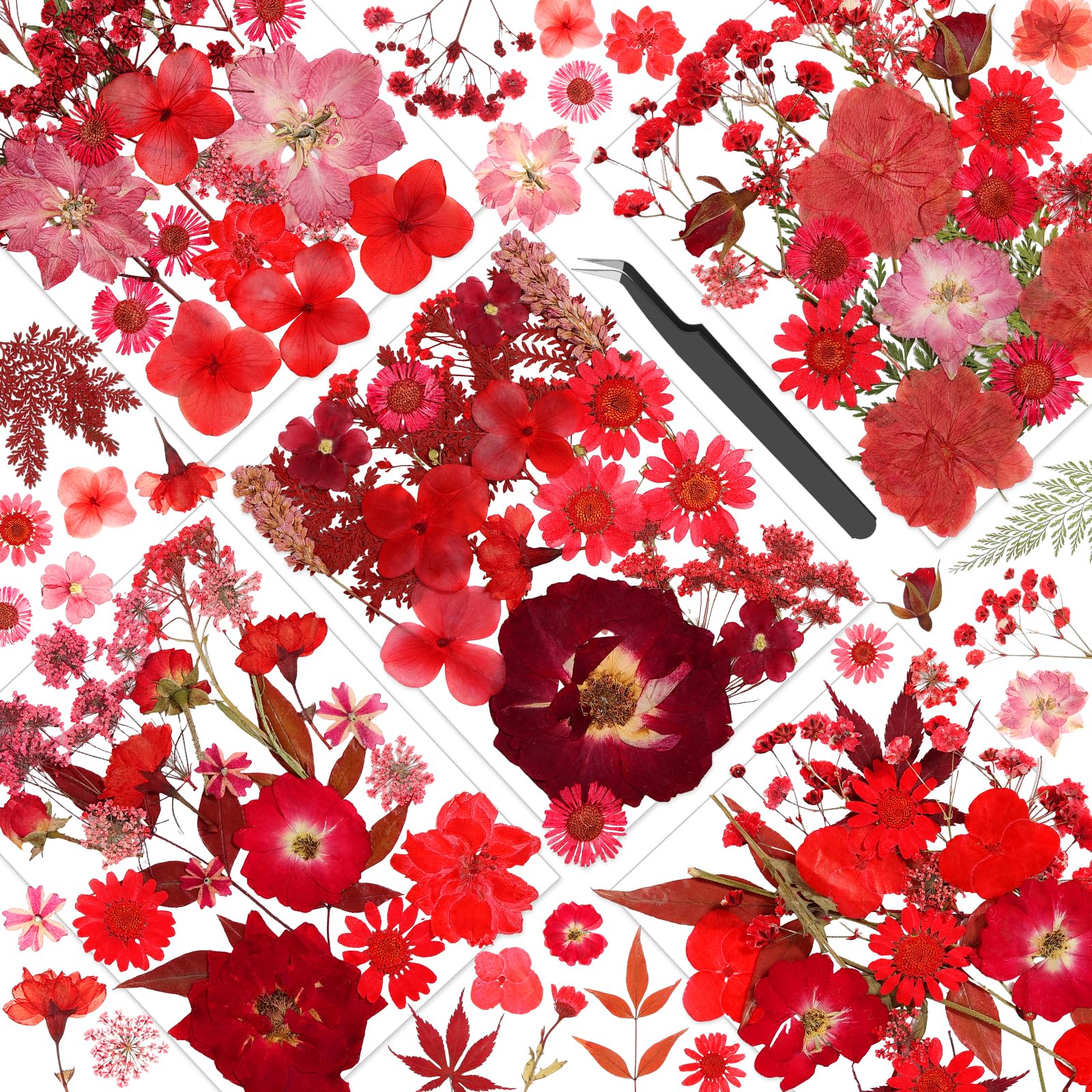 Pressed Dried Flowers for Resin, Natural Real Dried Pressed Flowers for Crafts, Bulk Dry Flowers for Resin Molds, Candles, DIY Art Jewelry Making with Tweezers (Red Love Pressed Flowers)