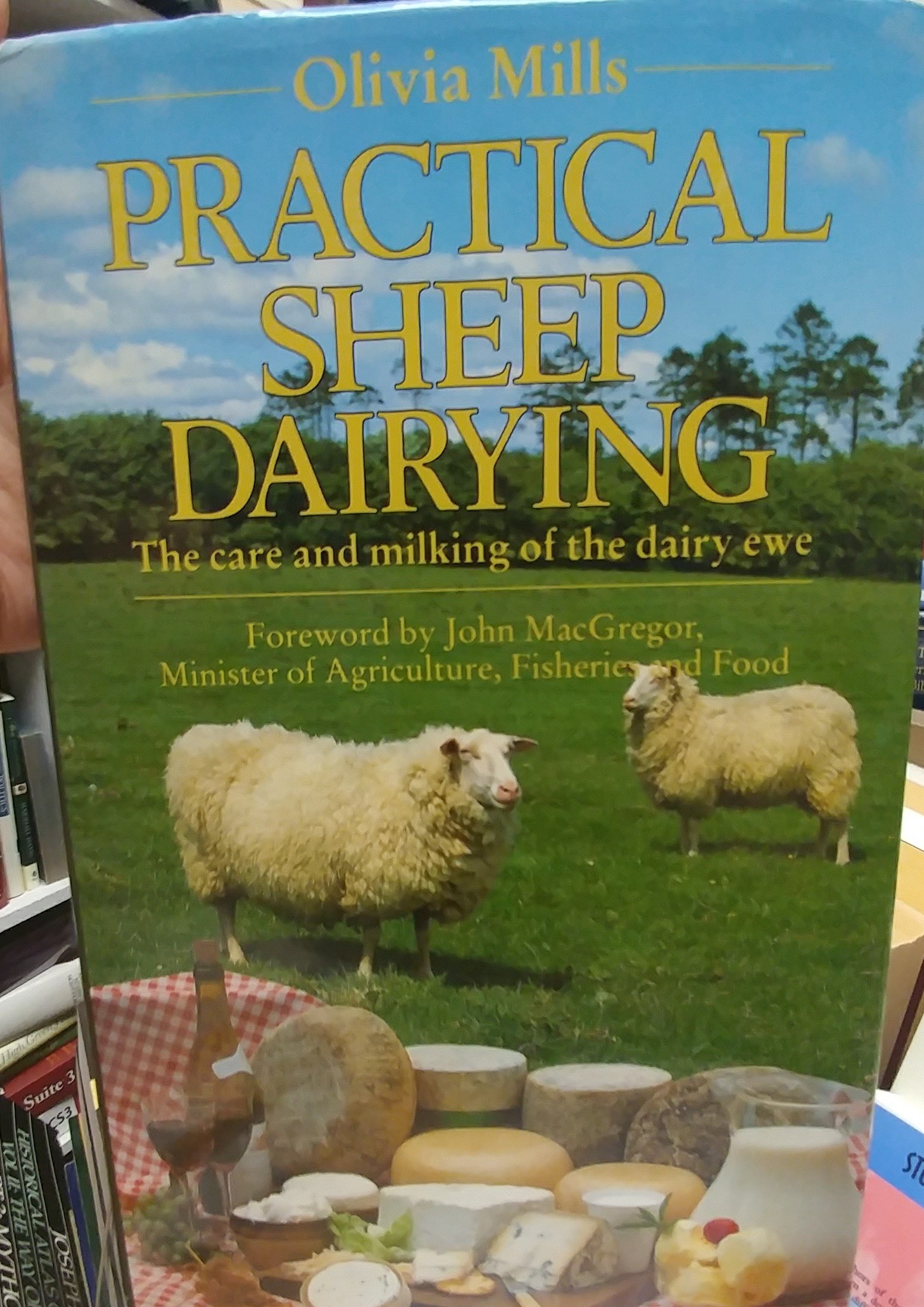 Practical Sheep Dairying: Care and Milking of the Dairy Ewe