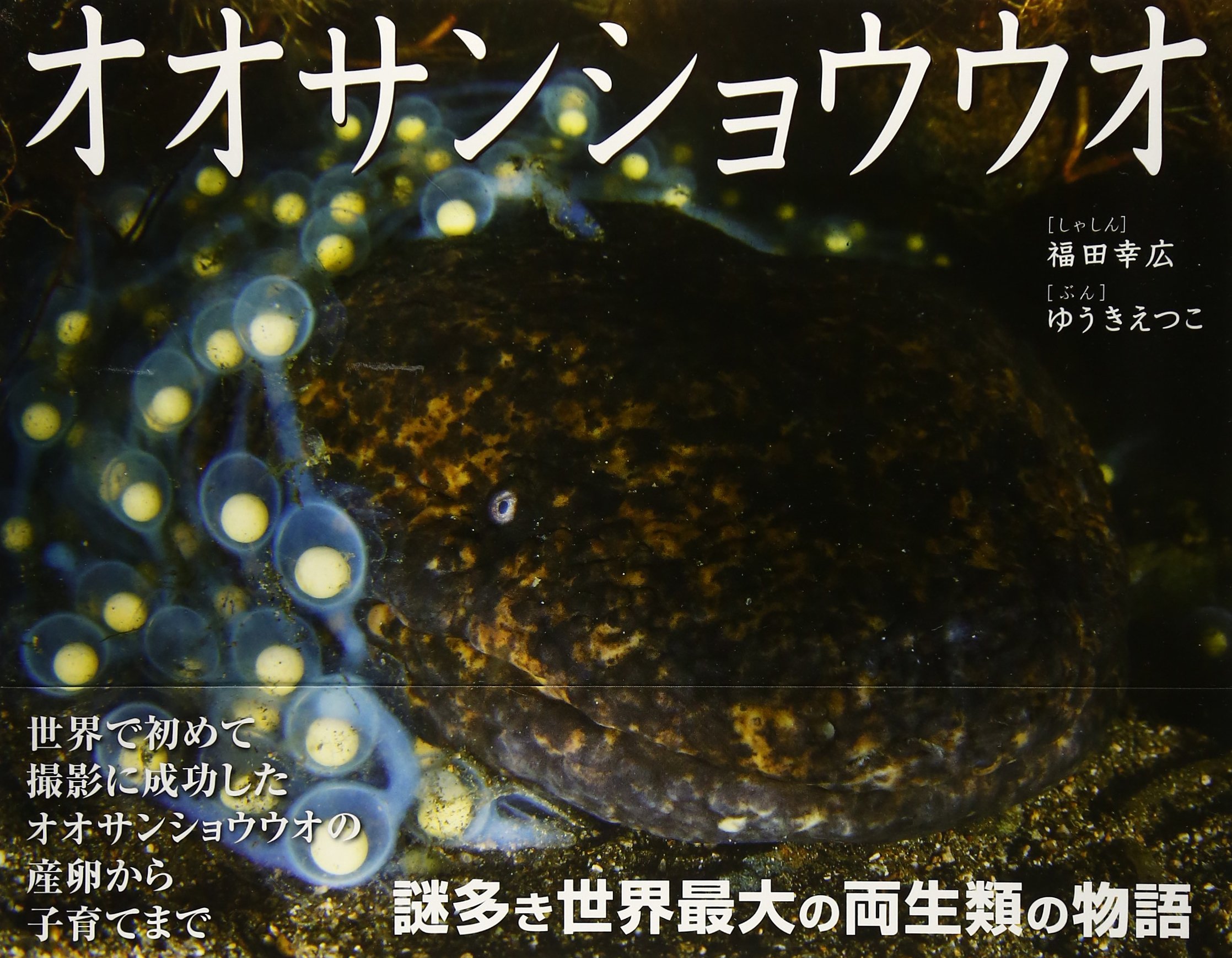 オオサンショウウオ (そうえんしゃ・写真のえほん 12) | ゆうき えつこ