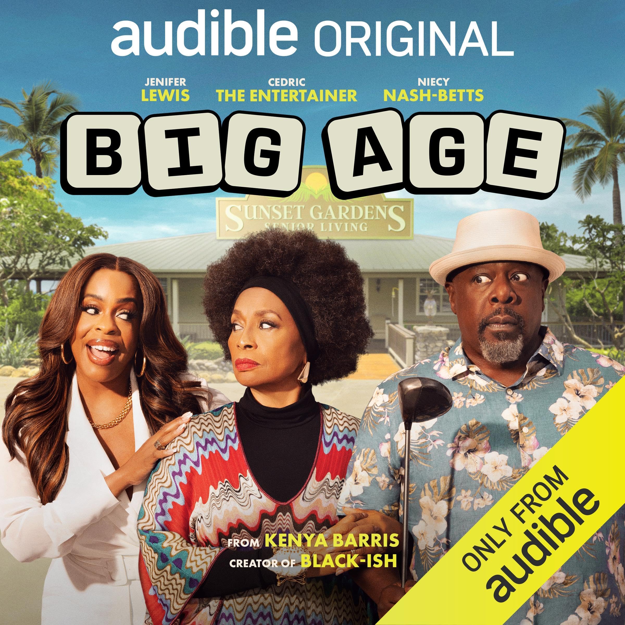 Cover art for Big Age