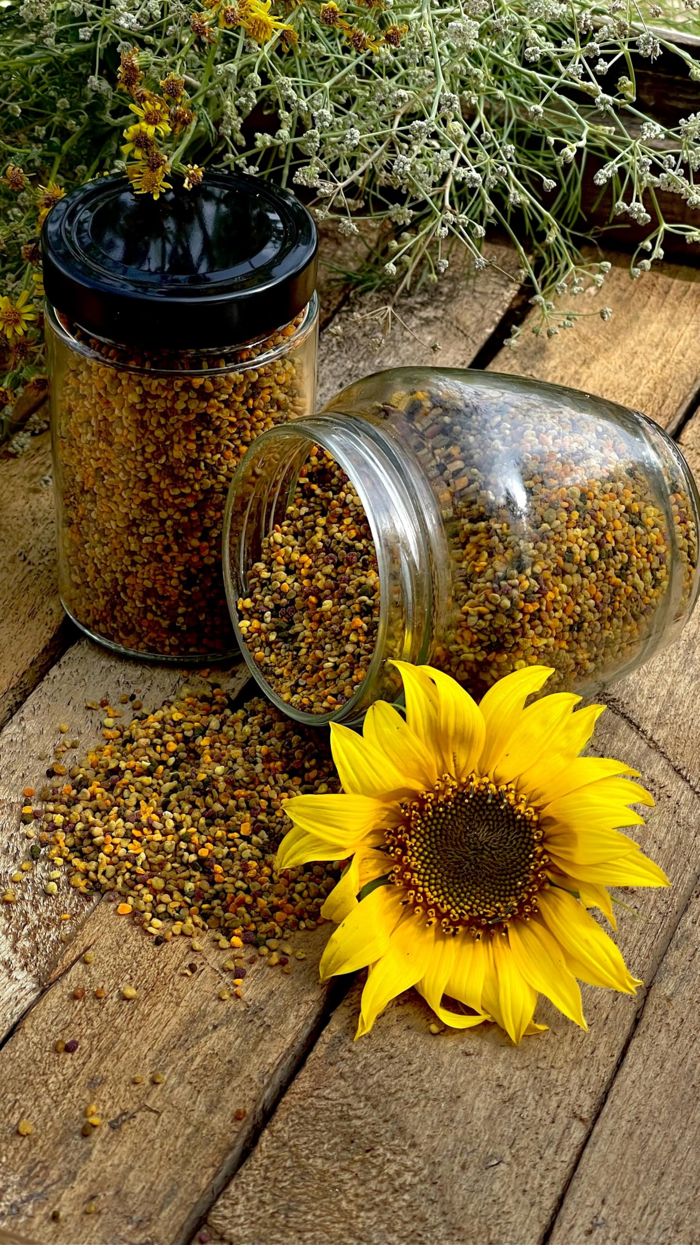 Polen de Abeja natural. En envase de 500grs. Polen de abejas origen España BIO 100%. Recogido en zona de Cantabria, España. Producto energético natural Gourmet.