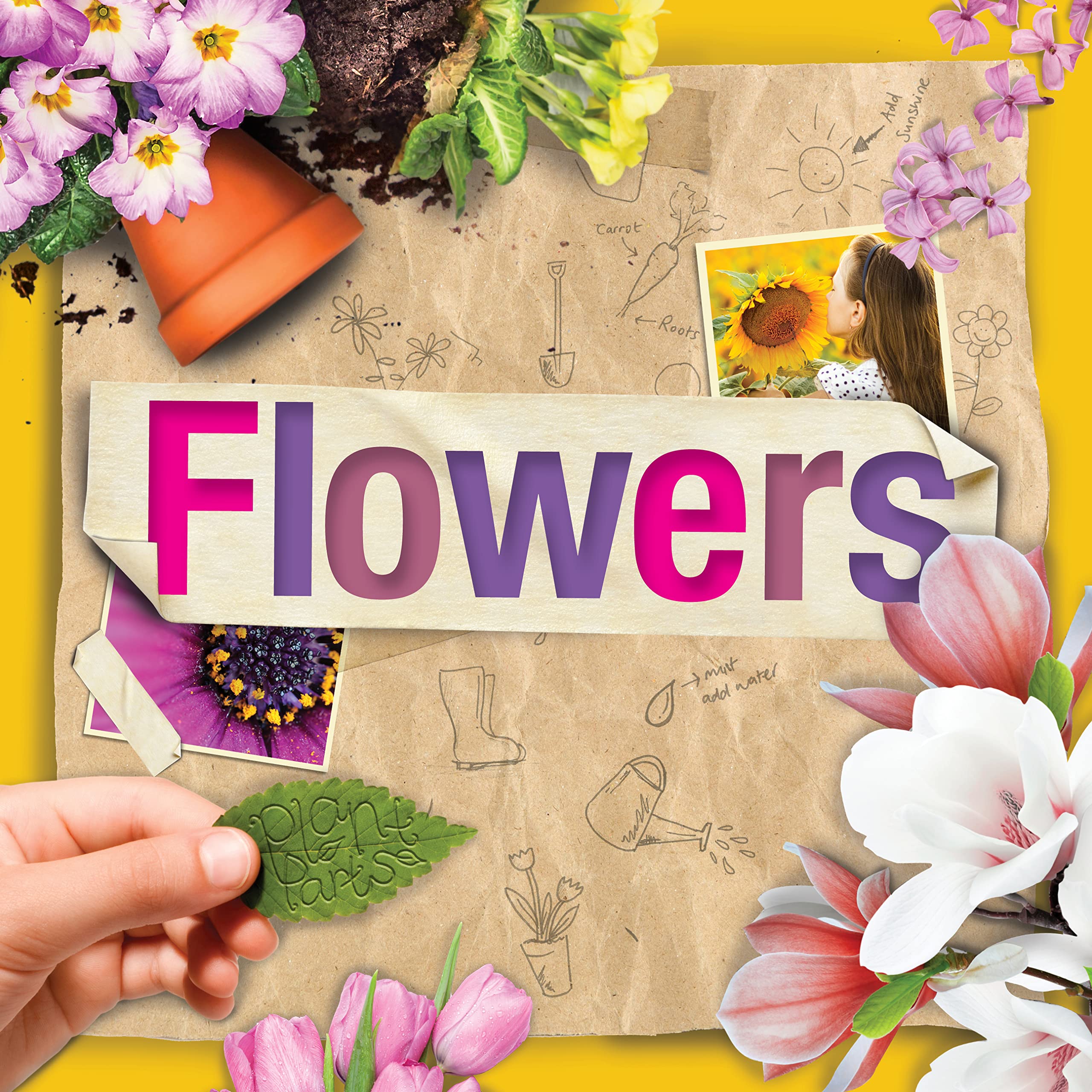 Flowers (Plant Parts)