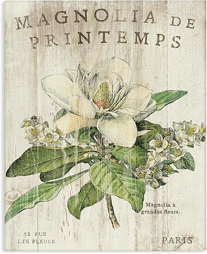 Stupell Industries Lienzo decorativo para pared, diseño de magnolias francesas en primavera, fabricado con orgullo en Estados Unidos, 24 x 30 Stupell Industries Lienzo decorativo para pared, diseño de magnolias francesas en primavera, fabricado con orgullo en Estados Unidos, 24 x 30