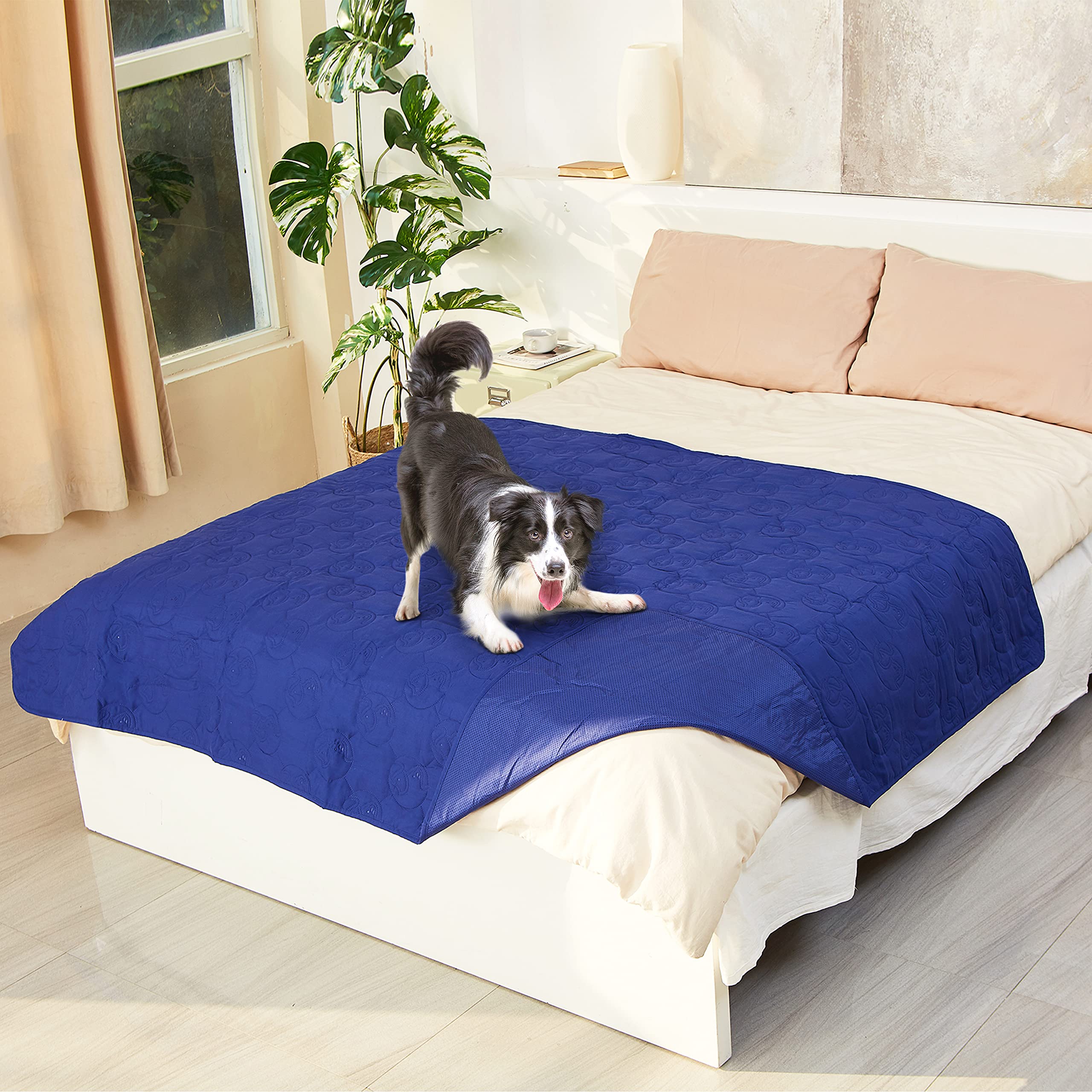 Kritter Planet Waterproof Dog Blanket, Urine-proof Pet Blanket for Couch, Bed, Puppies, Cats, Throw, Bed, Car Seat, Protective Cover, Liquid-proof, Washable, 203x152cm