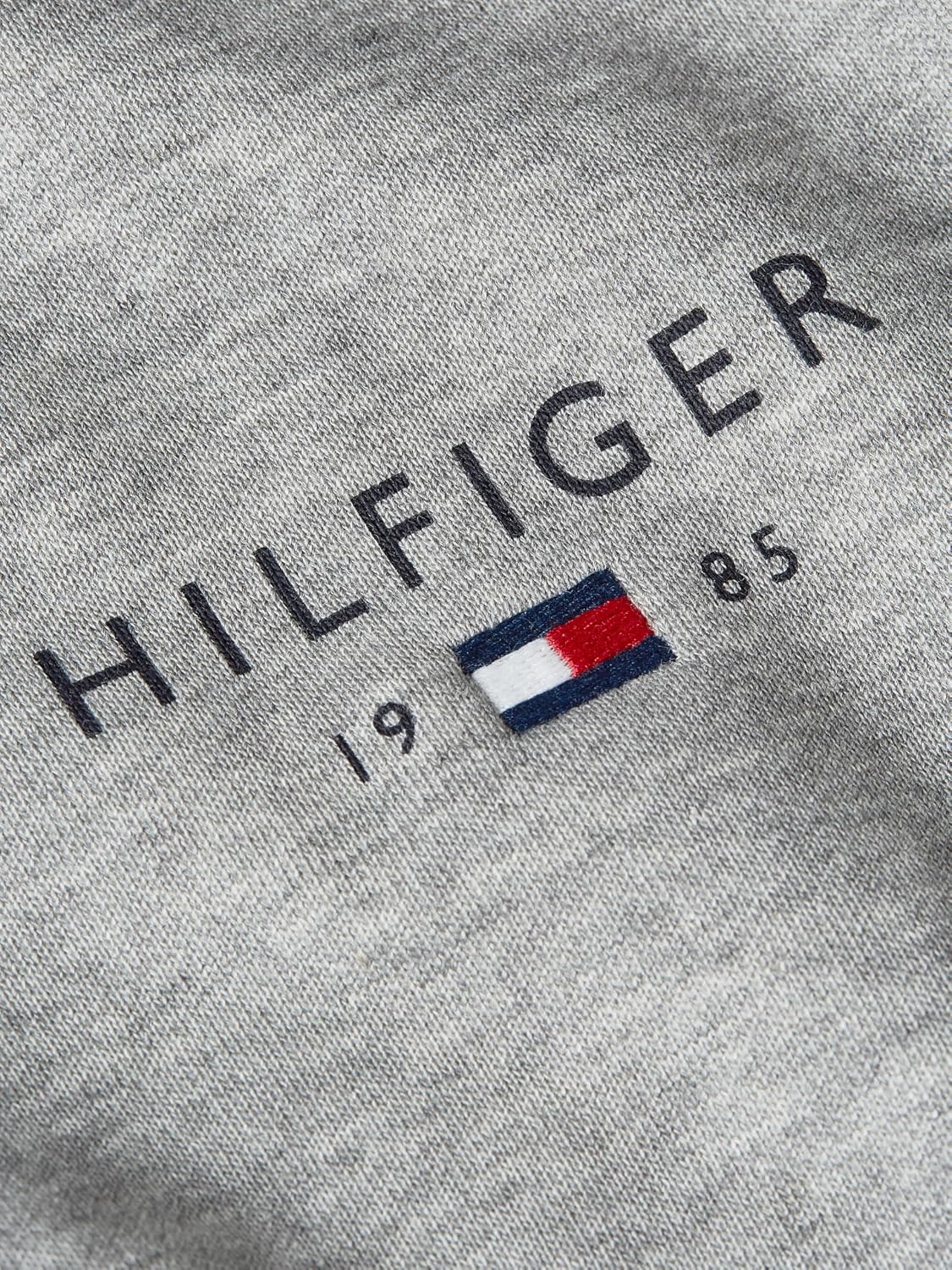 Tommy Hilfiger Men's Medium Weight Cotton Hoodie Sweatshirt With Embroidered Flag Logo and Drawstring