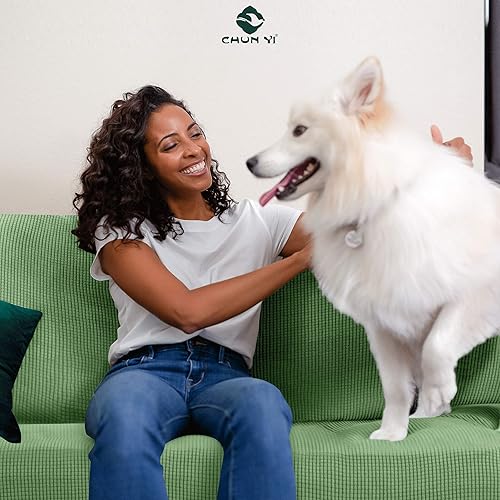 Vista 407 de CHUN YI - Funda elástica para sillón (3 piezas), funda para sofá de 1 plaza con un respaldo y cojín separado con banda elástica, tela jacquard