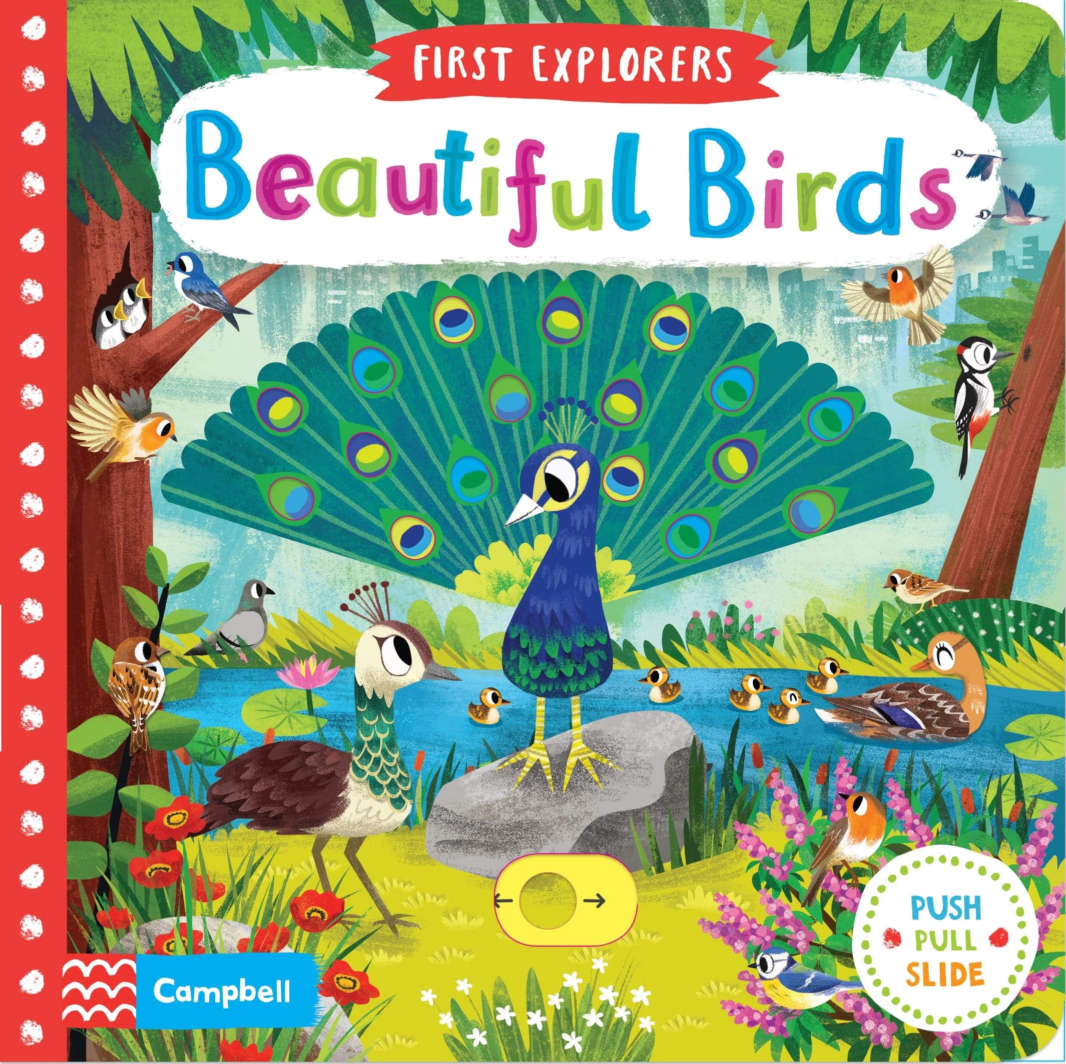 Beautiful Birds (Campbell First Explorers, 11)