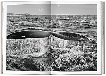 SEBASTIAO SALGADO セバスチャンサルガド GENESIS 写真集 Amazon | Sebastião Salgado. Genesis | Salgado, Lélia Wanick