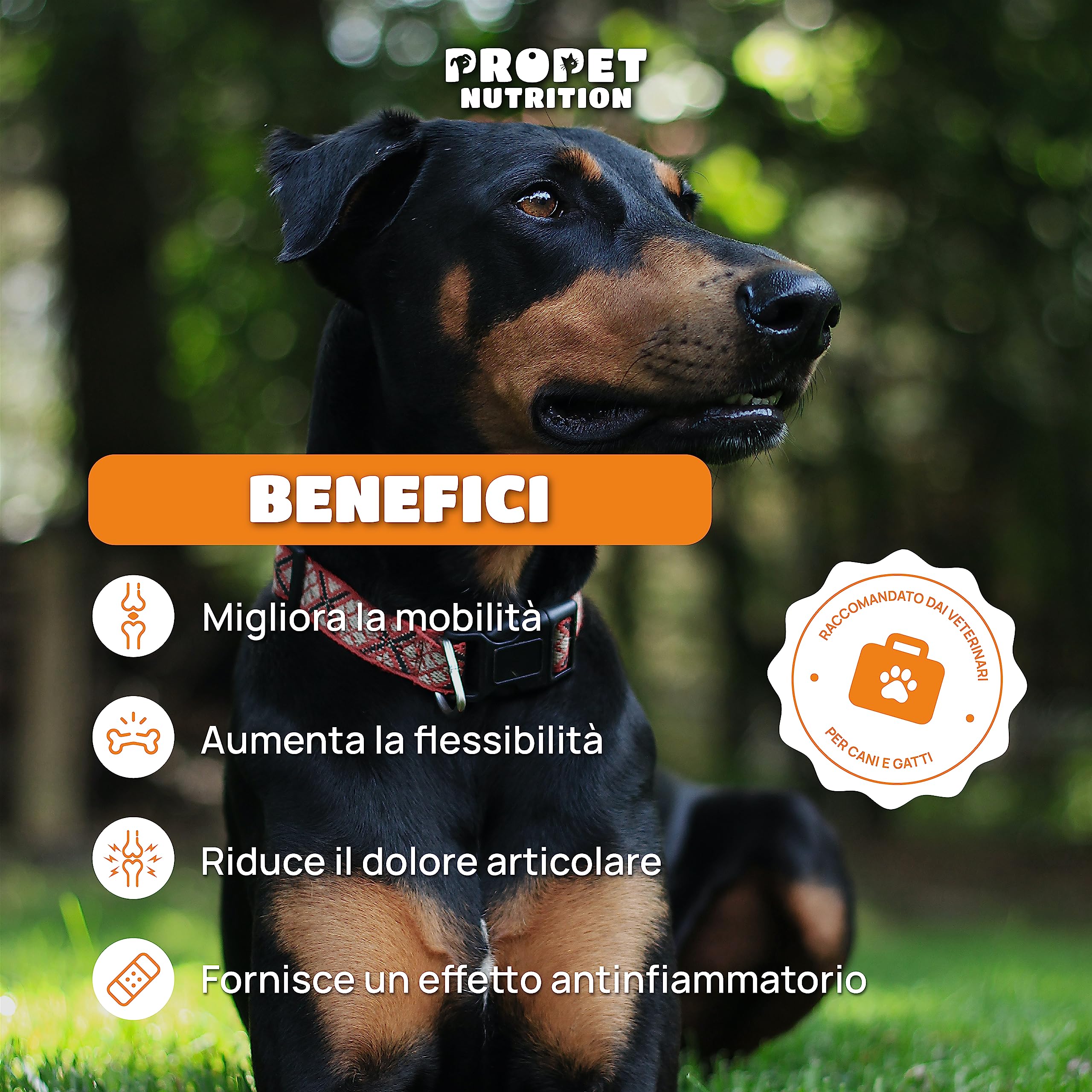Integratore Articolazioni Cane e Gatto. 180 Compresse. Glucosamina e Condroitina, Collagene, 10 Vitamine per Cani e Gatti. Alta Concentrazione. Antifiammatorio. Supporta la Mobilità. Joint Care Cani