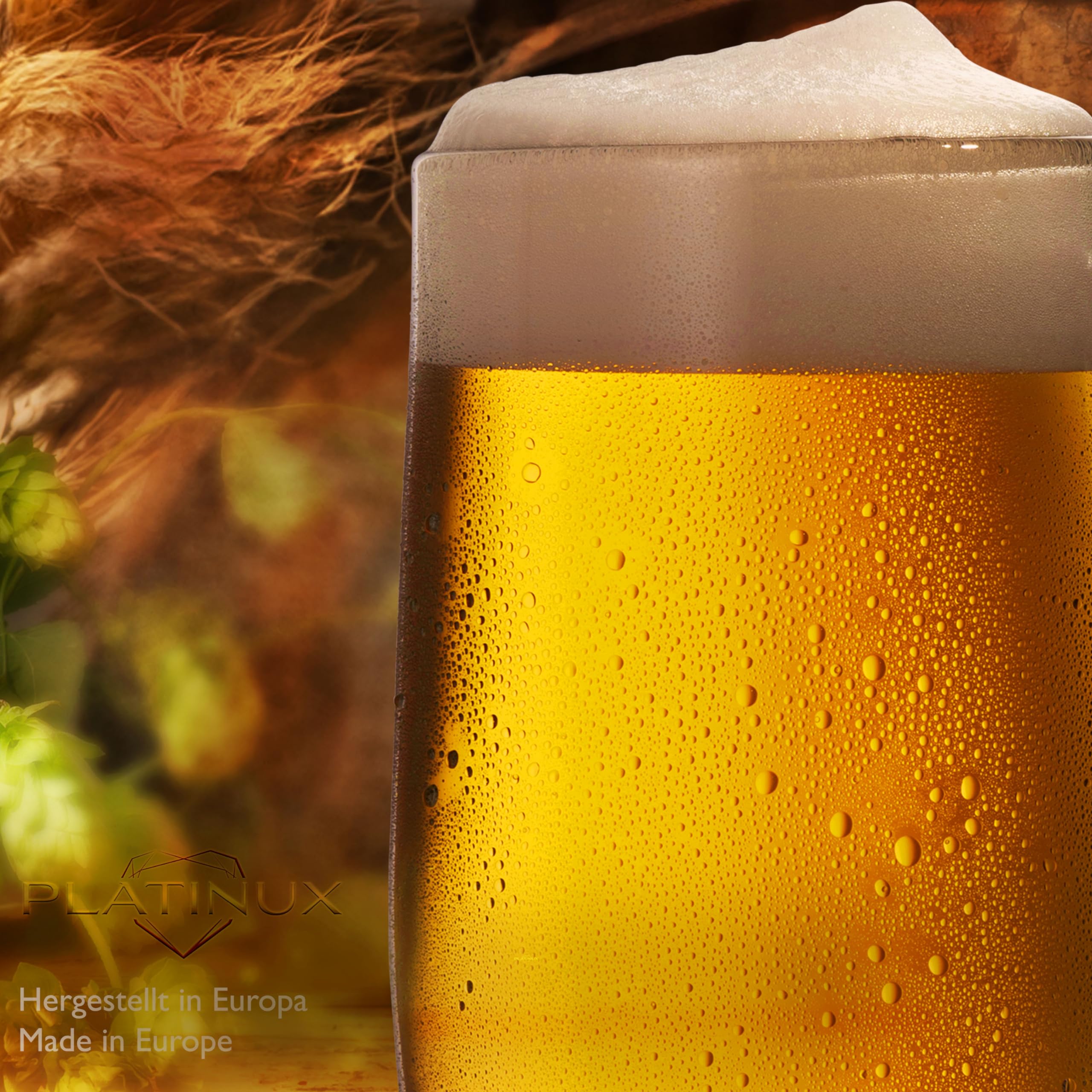 PLATINUX Juego de 6 jarras de cerveza con asa de cristal, 300 ml (máx. 375 ml)