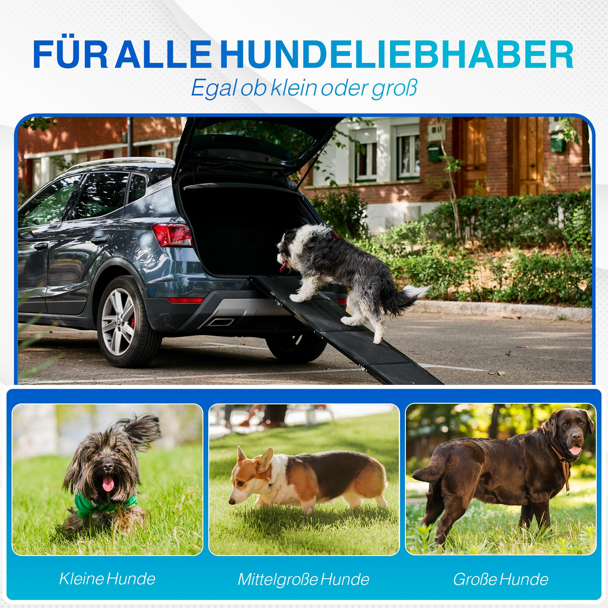 Petsafe Telescoop-Loopplank voordelig online bestellen