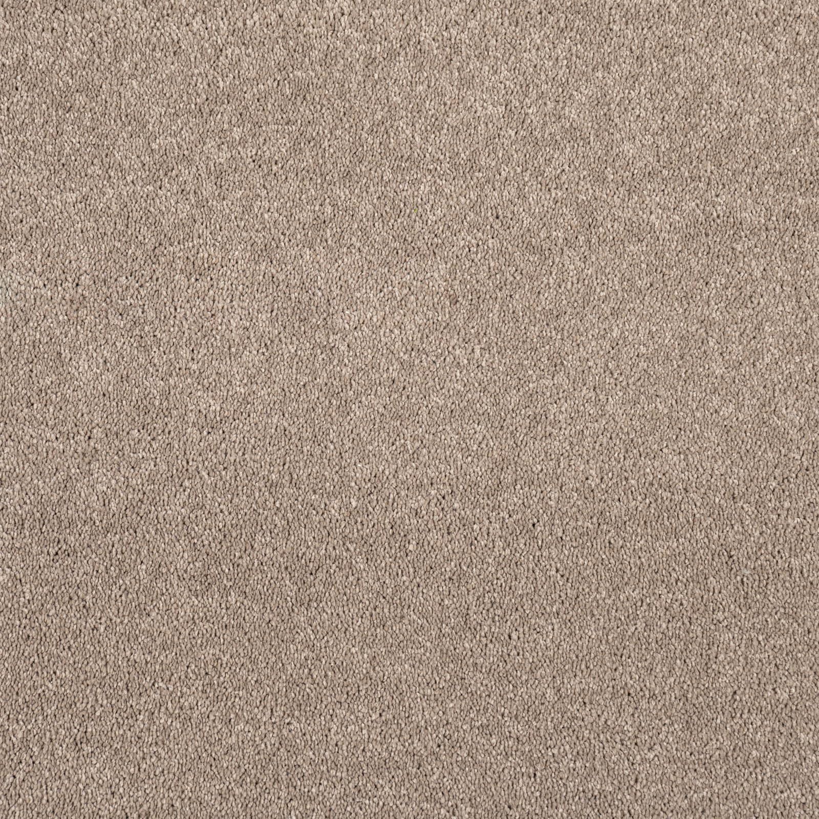 Alberta Saxony Carpet Action Backed Stain Resistant Polyester Carpet (Fawn - 5m x 6m)