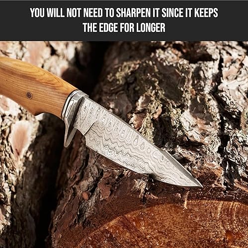 Miniatura 19 de BIGCAT ROAR Predator Hunter Cuchillo de caza patentado hecho a mano de acero de damasco de hoja fija de 10 pulgadas, mango de madera de nogal