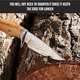 BIGCAT ROAR Predator Hunter - Handmade Damascus Steel Fixed Blade Knife 10 - Olive Wood Handle & Belt Leather Sheath - Bushcraft, Outdoor Camping, Skinning & Survival Knife - Collector Gifts for Men