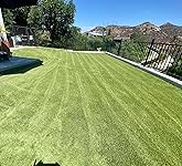 Review Image by HowISeeIt HowISeeIt