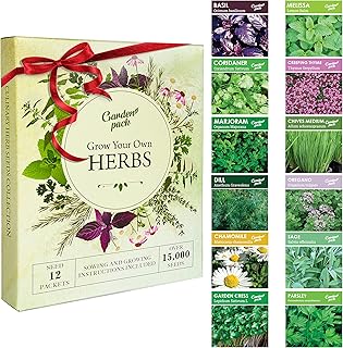 Herb Seeds for Planting Indoors & Outdoors, 12 Varieties, 15000 Seeds Multipack Ready to Grow Starter Kit Garden Set with Heirloom Seeds to Grow Aromatic Basil, Coriander, Oregano, Sage & More