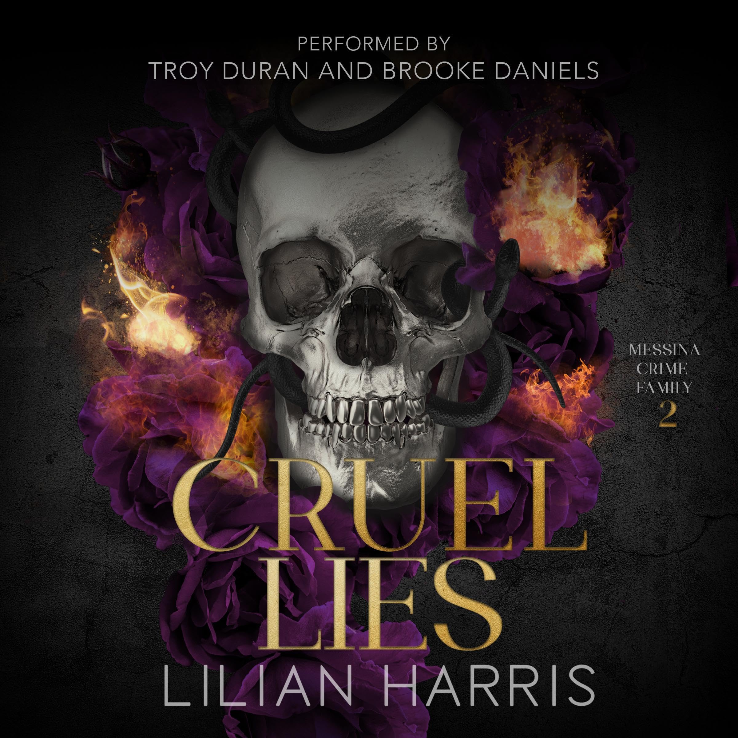 Cover art for Cruel Lies