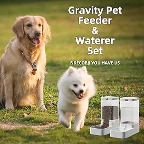 Best Automatic Dog Food Dispenser : Buyer's Guide 4 912b7JlVuaL. AC SL289