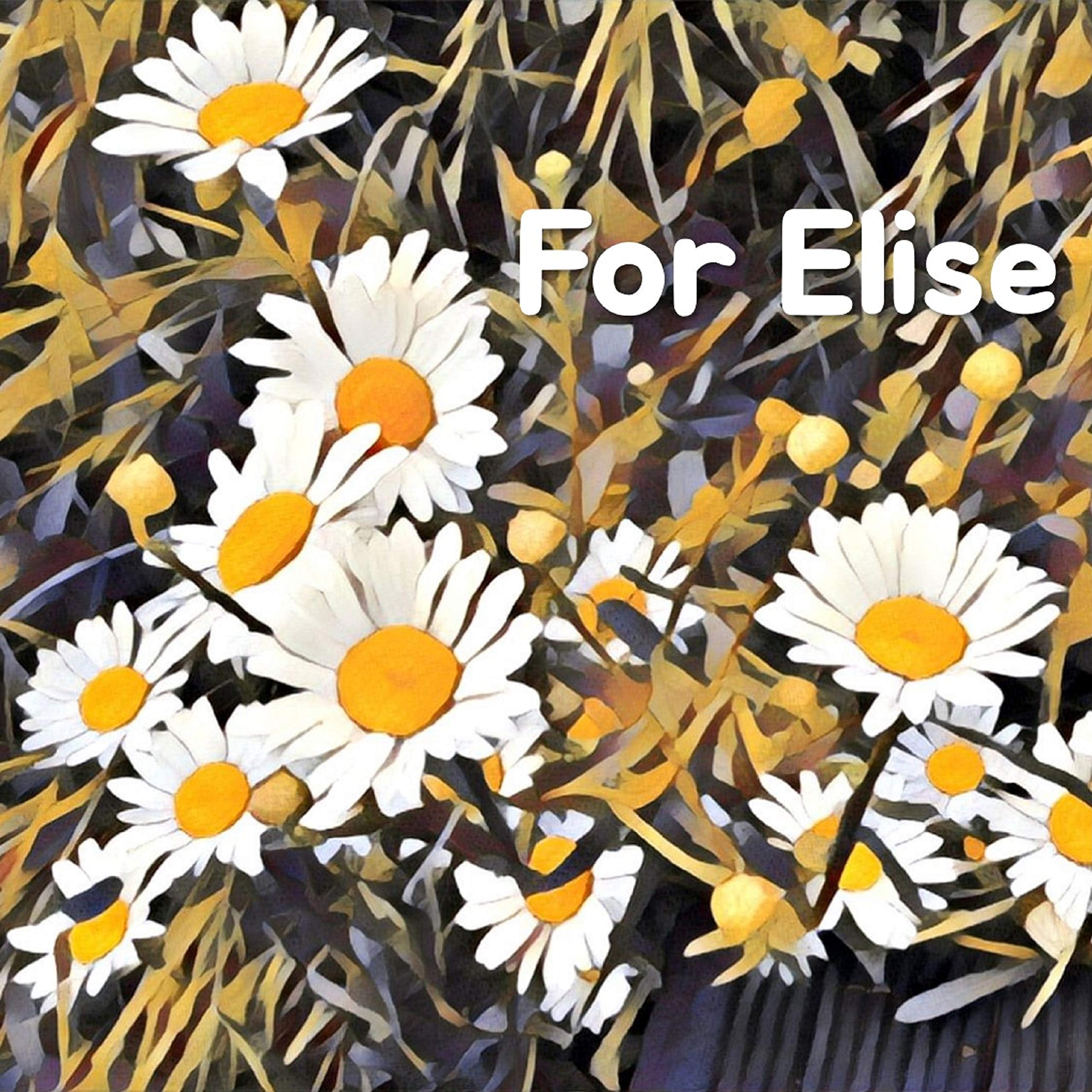 For Elise (Fur Elise) Beethoven