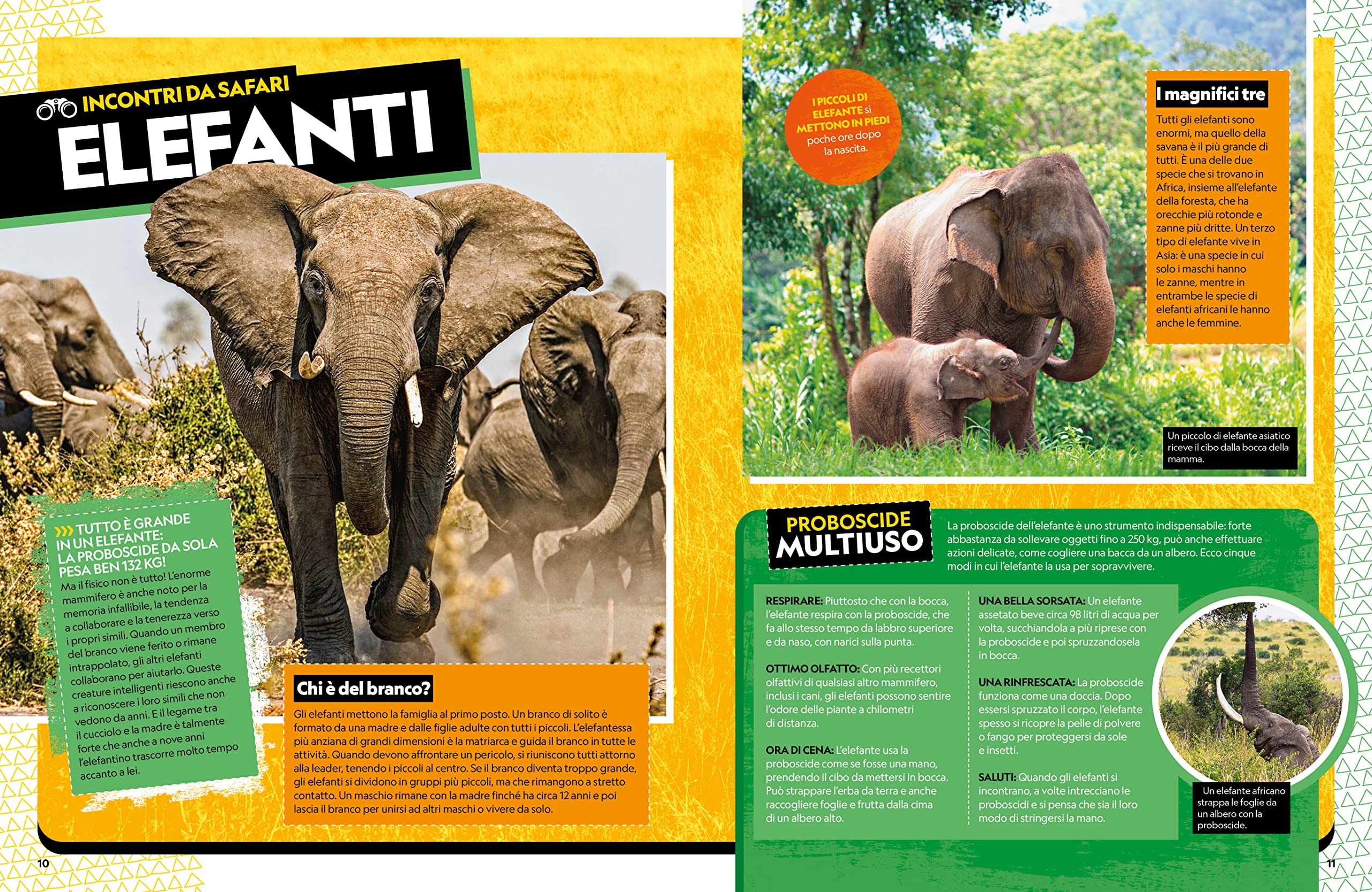 Il grande libro degli animali dell'Africa. Ediz. a colori