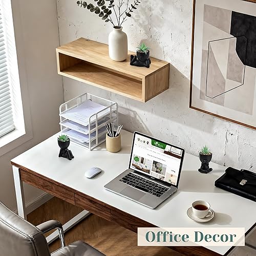 Miniatura 5 de Der Rose 3 piezas plantas suculentas falsas artificiales para baño negro, dormitorio, hogar, sala de estar, decoración de Halloween, estética