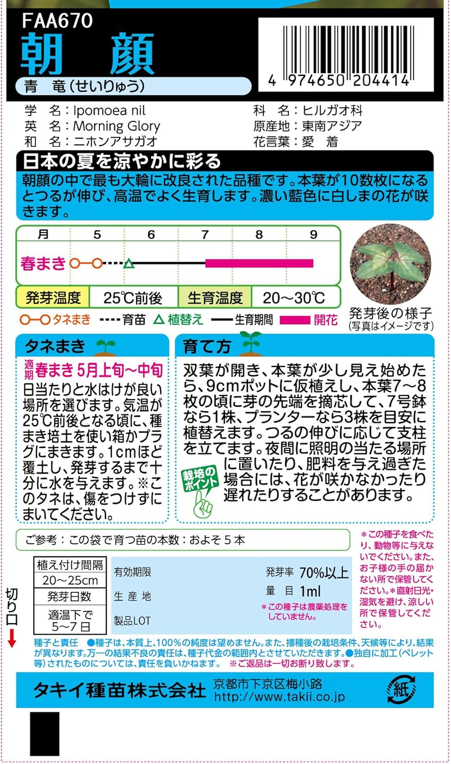 Amazon タキイ種苗 朝顔 青竜 花 Amazon タキイ種苗 朝顔 青竜 花