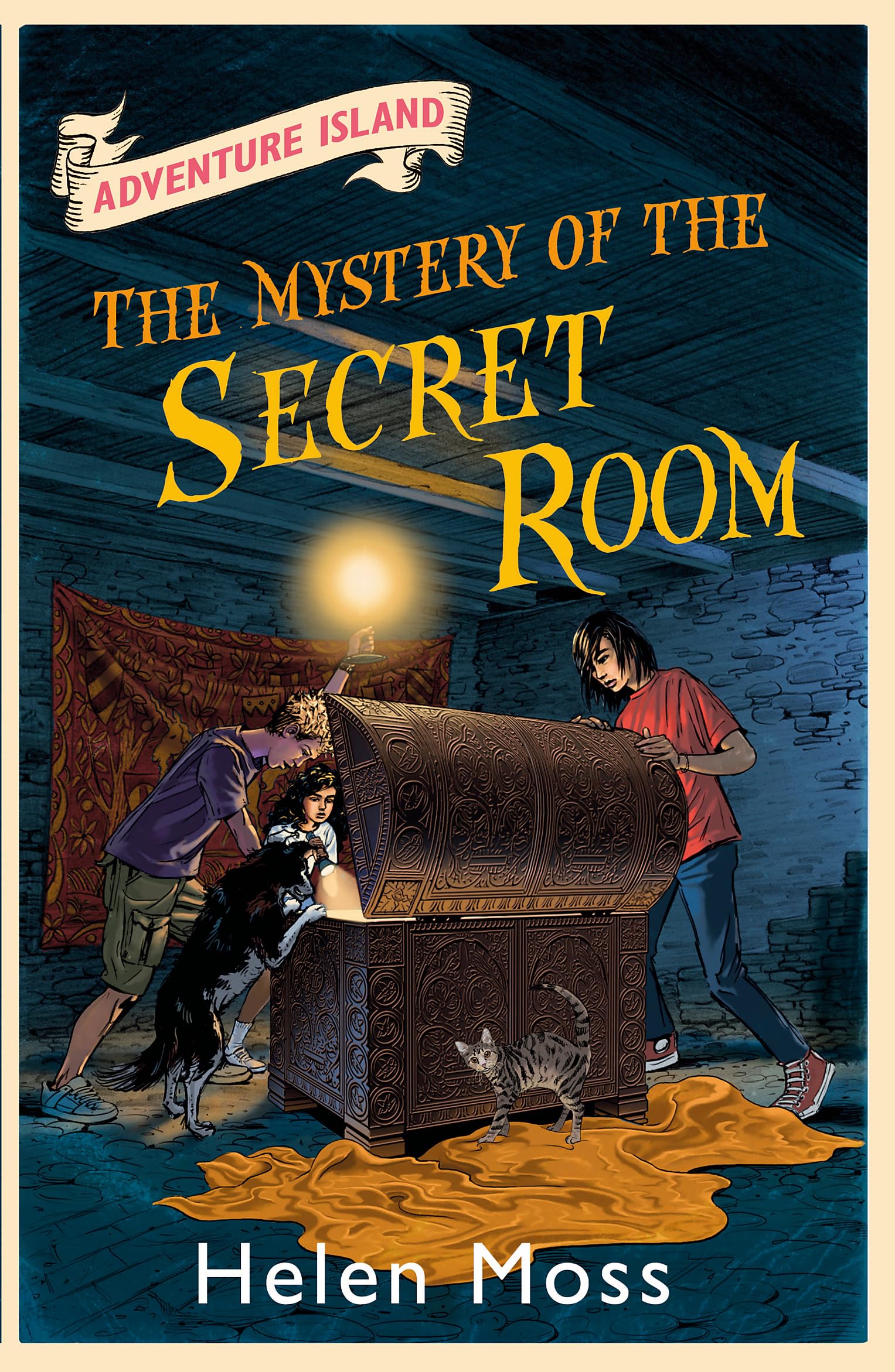 The Mystery of the Secret Room: Book 13 (Adventure Island)