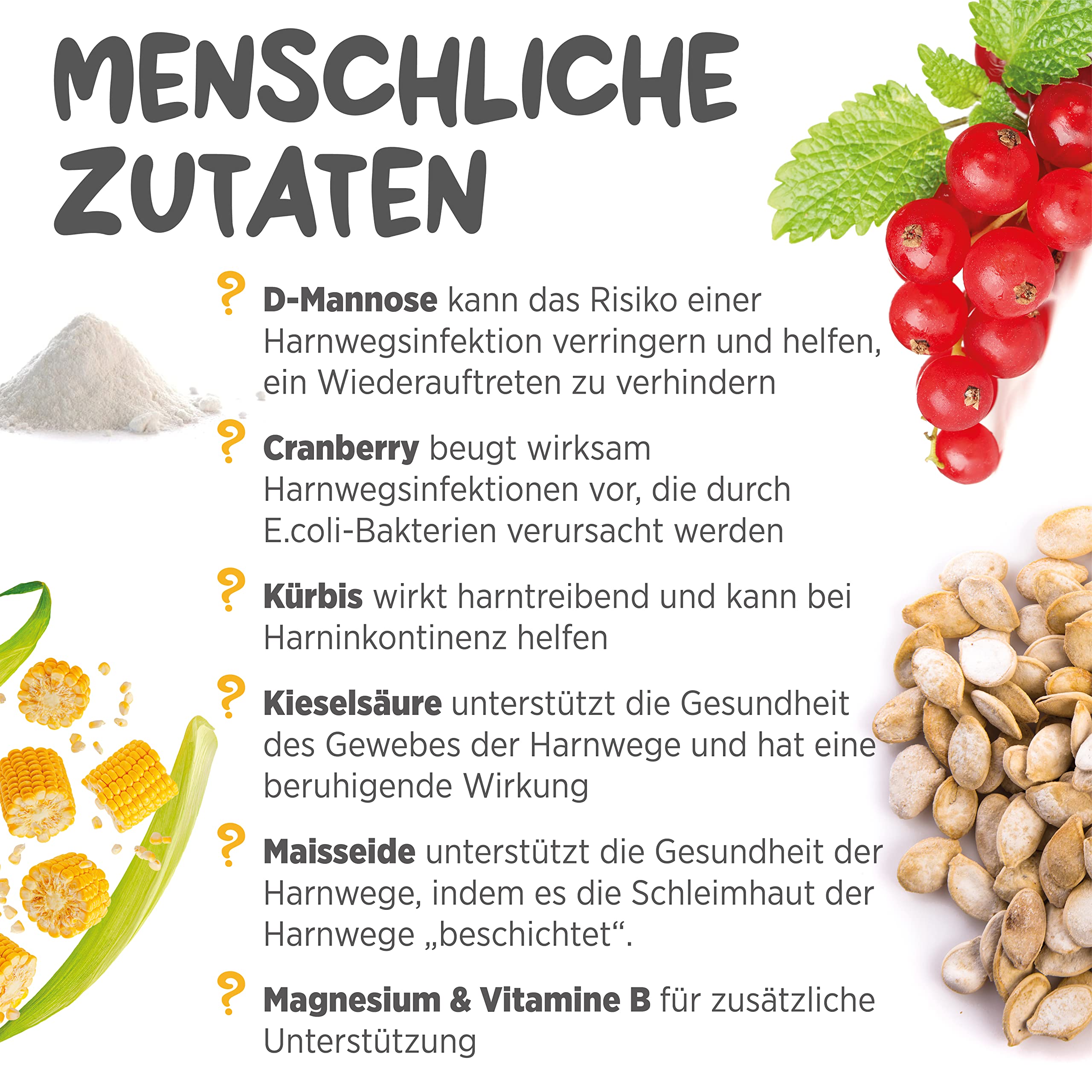 maxxipaws maxxiUtract Harnwegs- und Blasenunterstützung - Nahrungsergänzungsmittel in Pulverform für Hunde, 150g