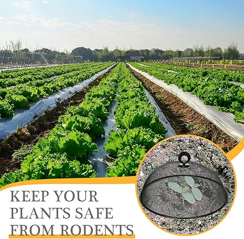 Miniatura 5 de Gerrii 6 cubiertas de malla metálica para alimentos, tiendas de campaña de malla para exteriores, cubiertas de placa de pantalla para platos de