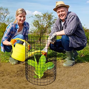 ケージ・アクセサリー ann Amazon.com : Adnee 10 Packs Wire Plant Protector from