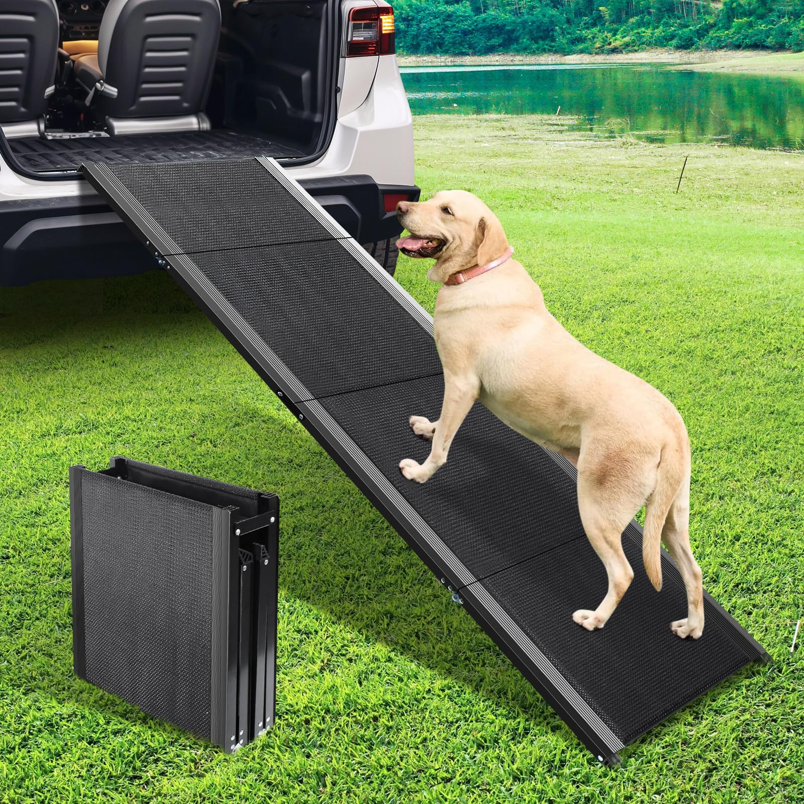Vind loopplank grote hond op - april 2026