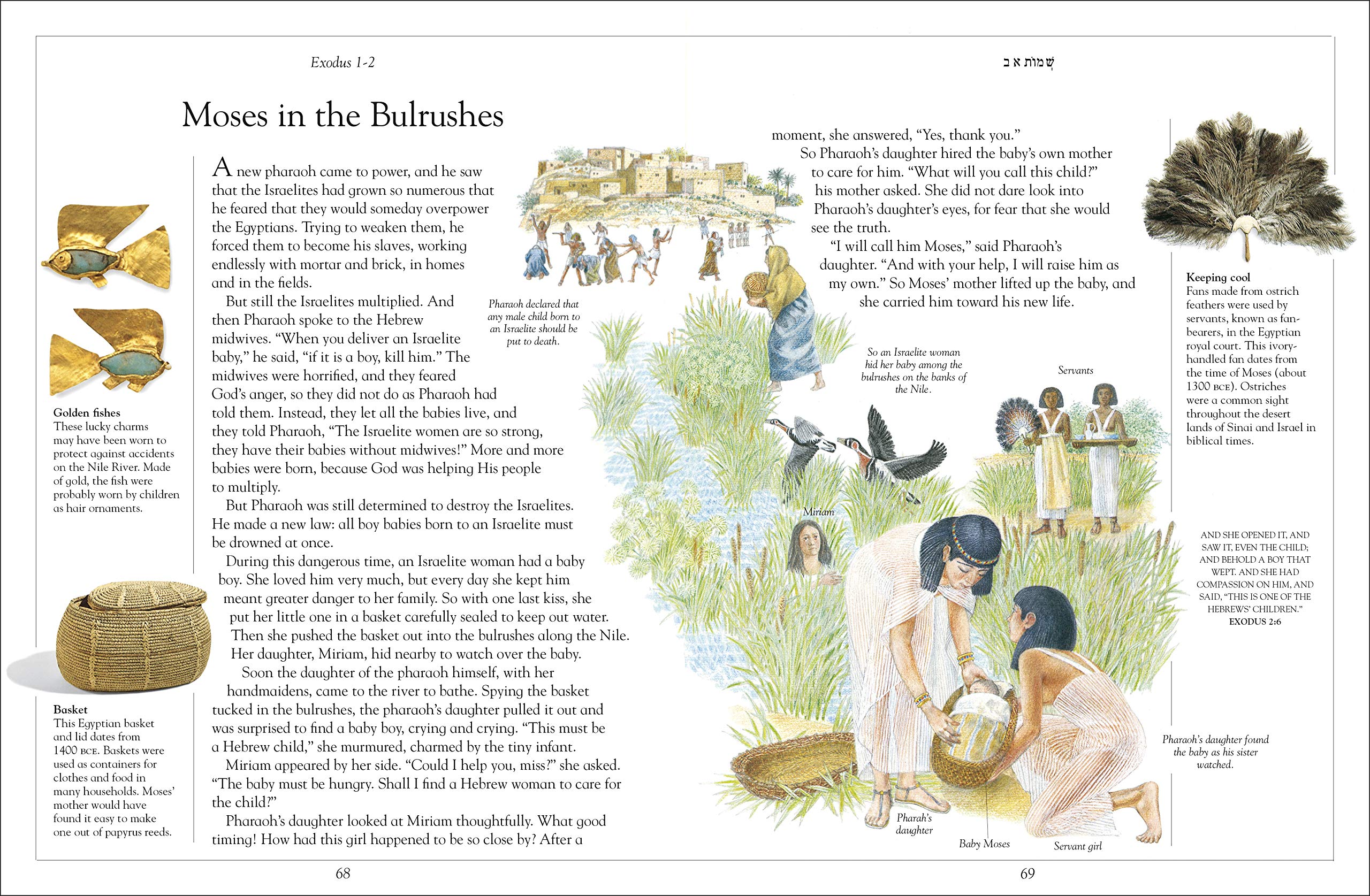 The Children's Illustrated Jewish Bible