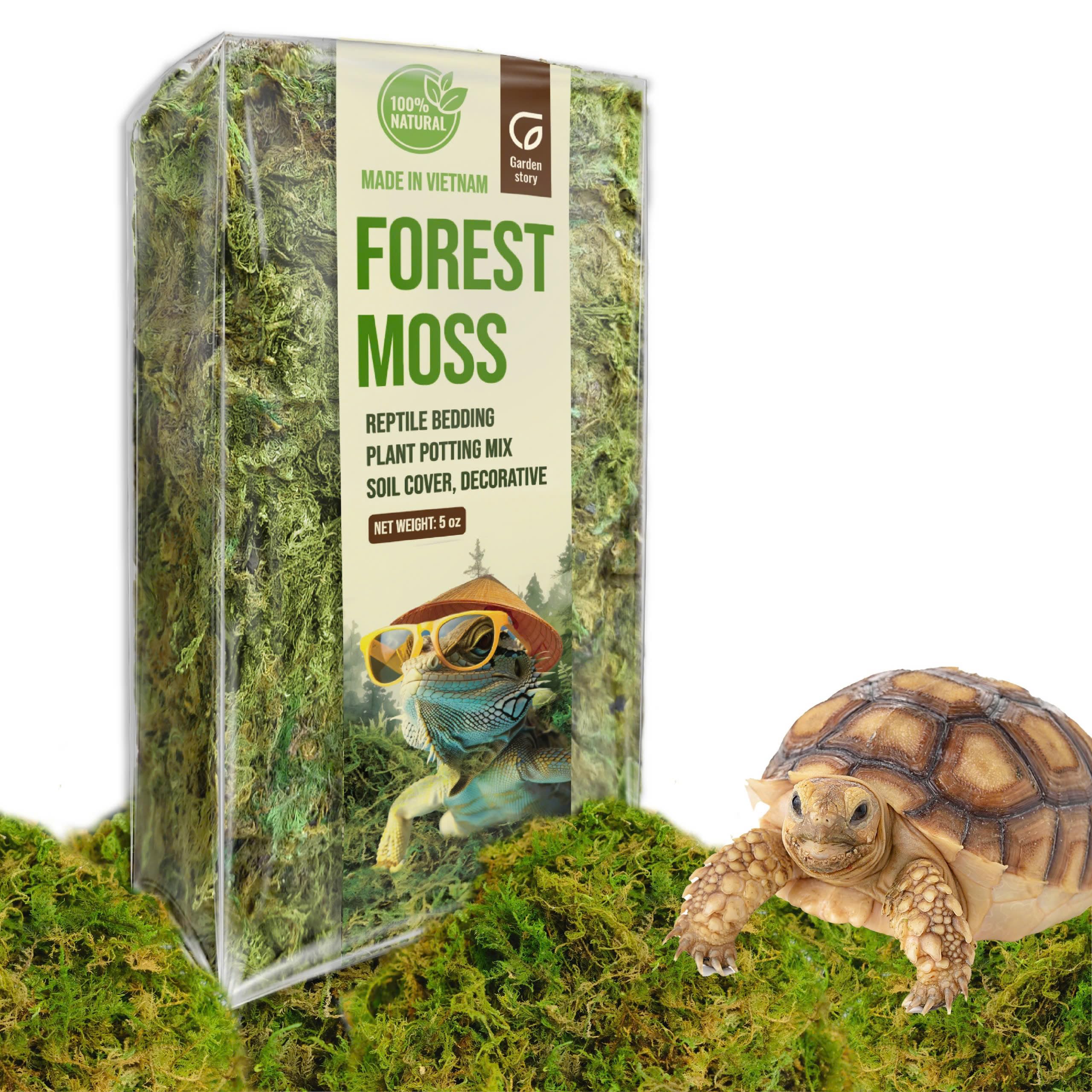 5 Oz (4 Quart) Forest Moss for Indoor Plants, Dried Moss for Potted Plants Terrariums, Forest Orchid Moss for Potting Mix, Reptile Bedding, Turtle, Snake Bedding, DIY Projects, Craft Decor
