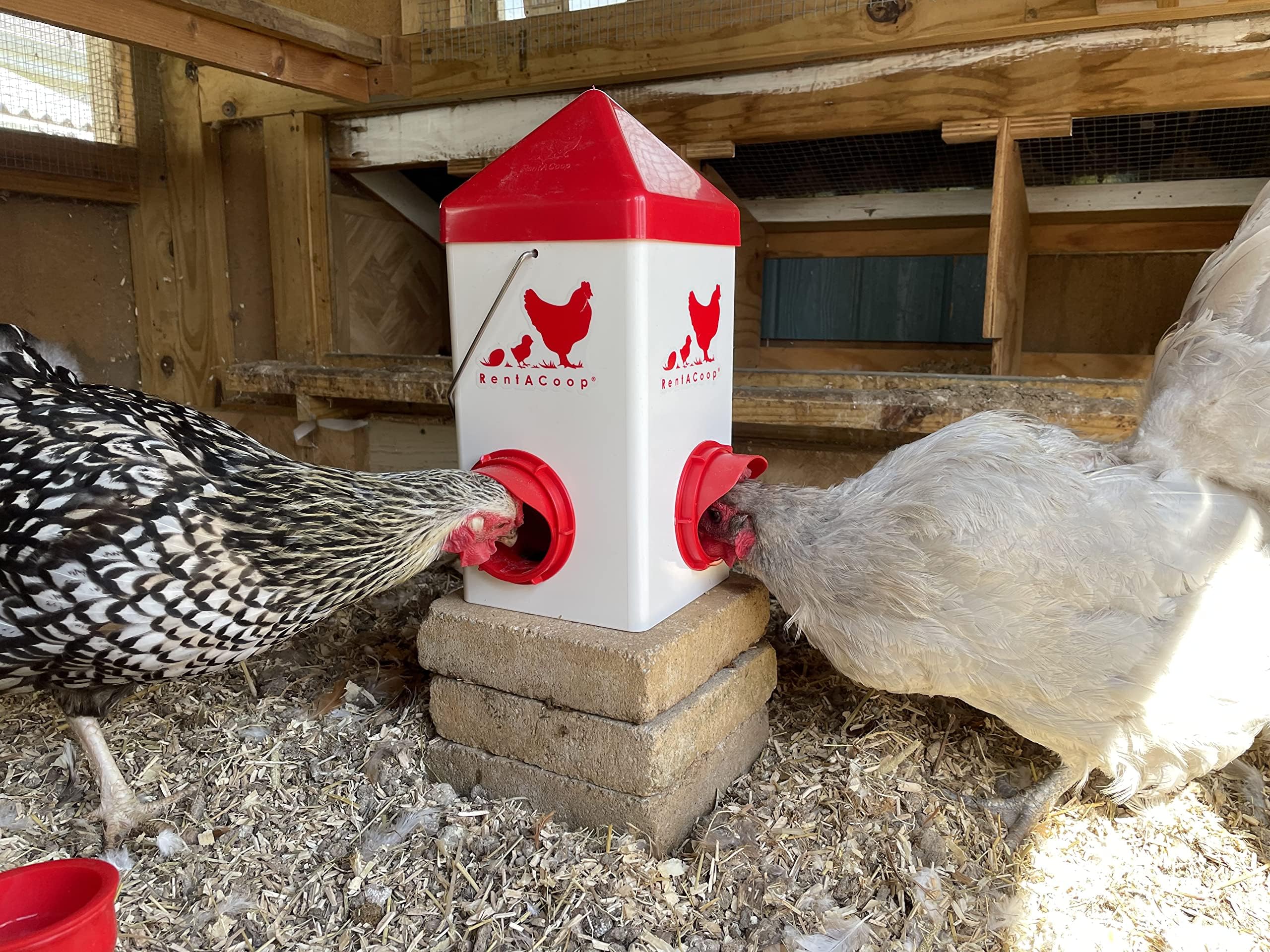 Amazon.co.jp: RentACoop Chick2Chicken 5ポンド 2ポートフィーダー