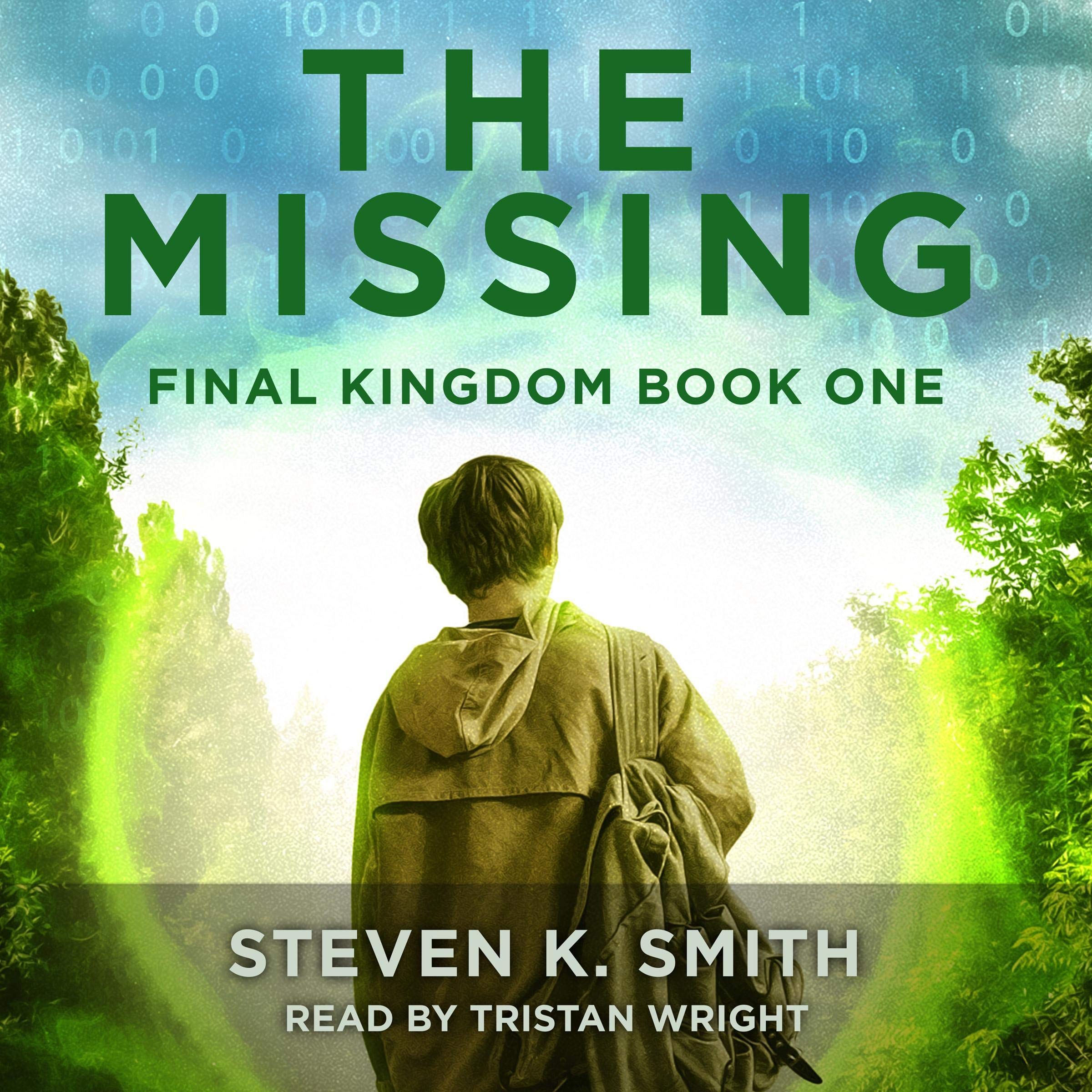 Cover art for The Missing