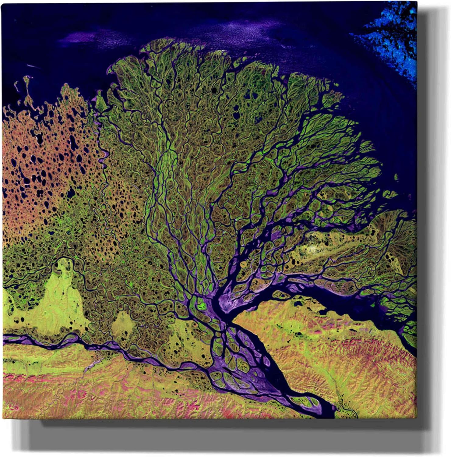 Epic Graffiti 'Earth As Art: Lena Delta' Canvas Wall Art, 12" x 12"