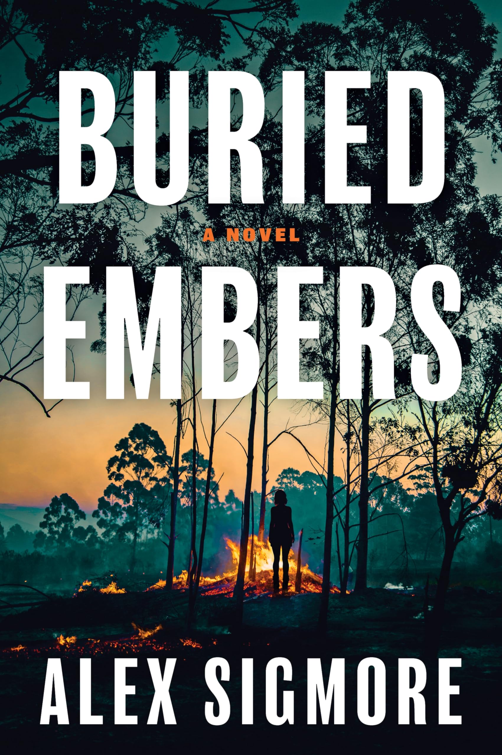 Buried Embers: A Novel