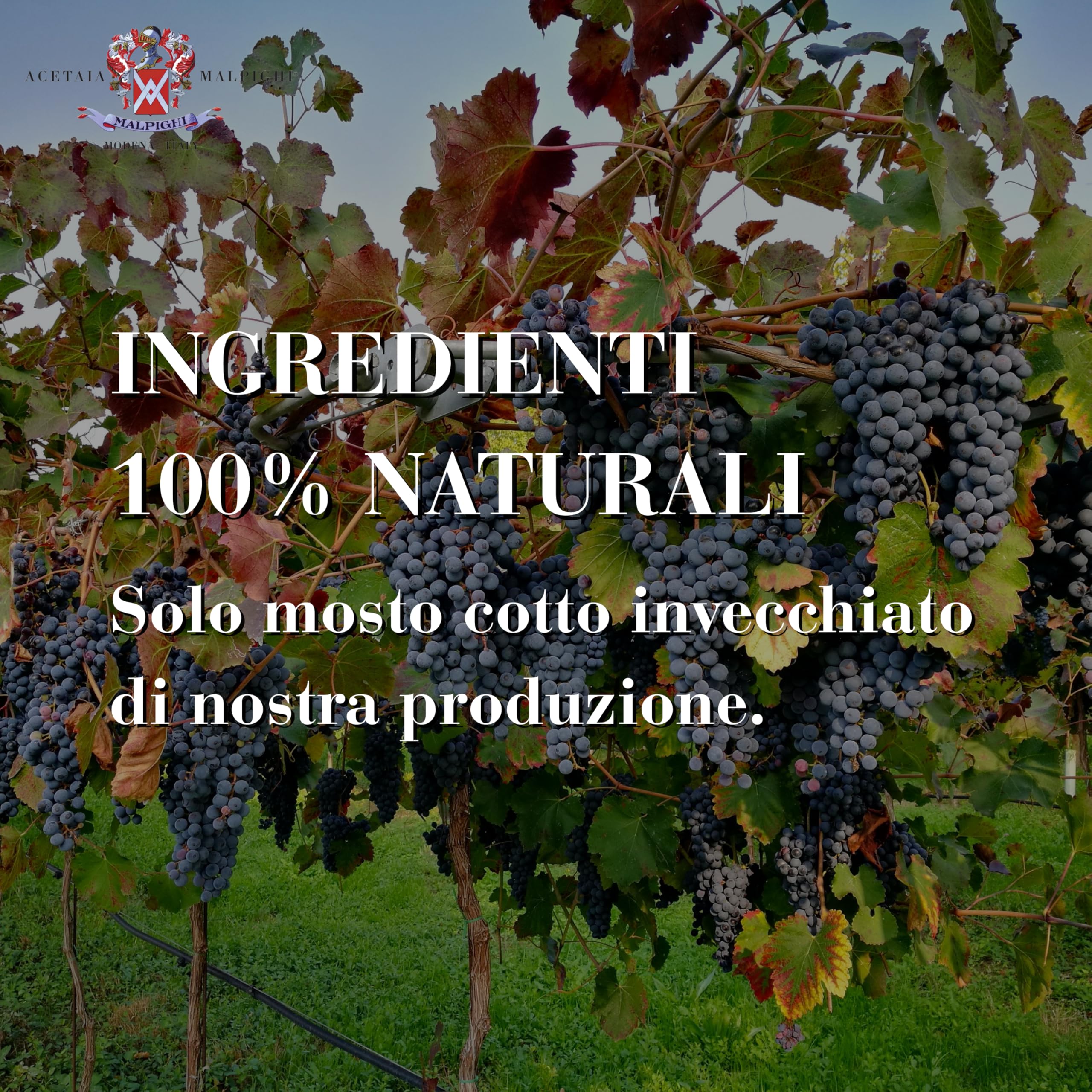 Aceto Balsamico Tradizionale di Modena DOP invecchiato 12 anni, 100ml, con Tappo dosatore e Ricettario