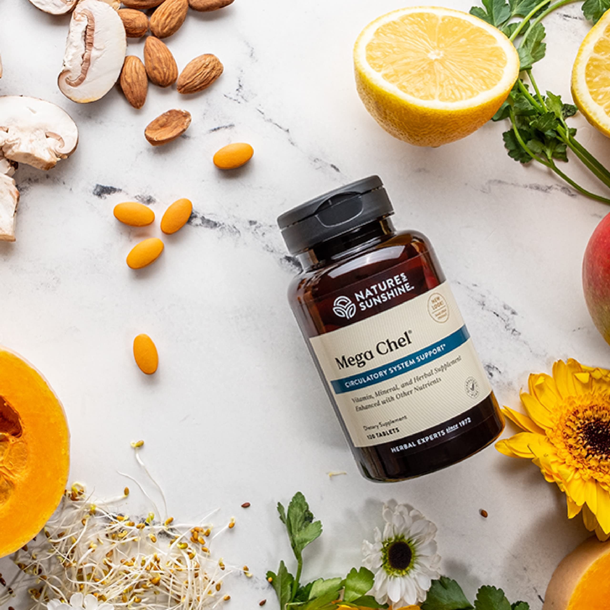 Nature's Sunshine MegaChel, 120 Tablets, Complete Vitamin with