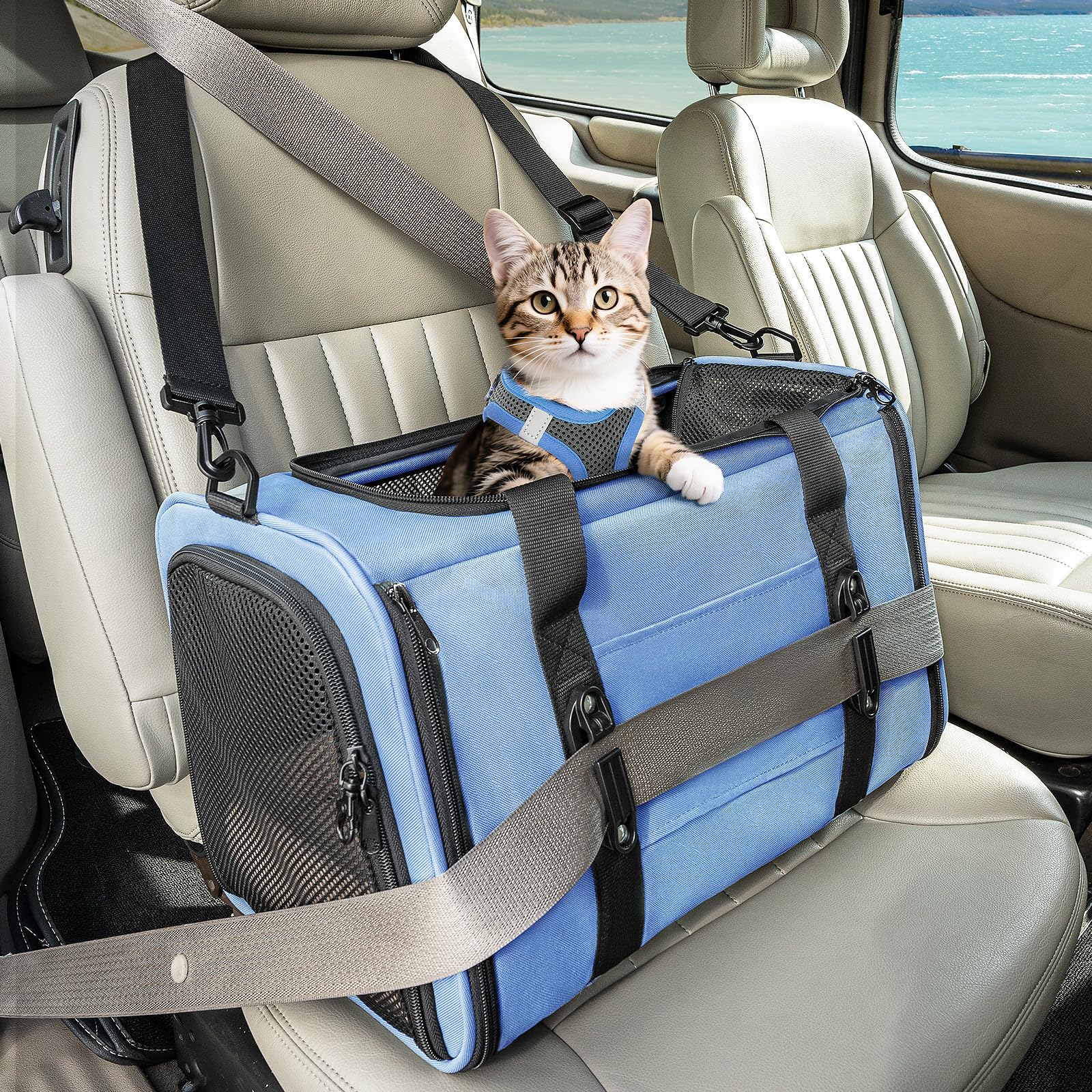 Petsfit Transportbox Katze Hundebox Auto Katzentransportbox Transportbox Hund - Faltbare Tragetasche mit 2 Patent-Schnallen für Autositz, 4-seitigem Netz & Abnehmbarem Kissen, M/Blau