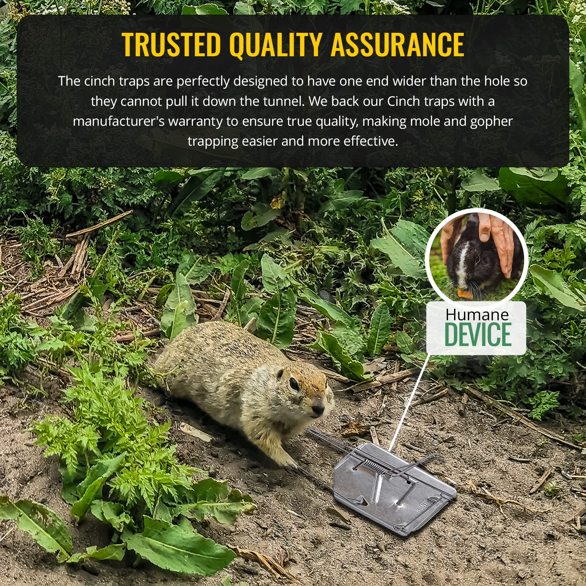 Cinch! Trappola Professionale Per Gopher – Kit Da 3 Trappole Riutilizzabili Per Prato E Giardino - 4