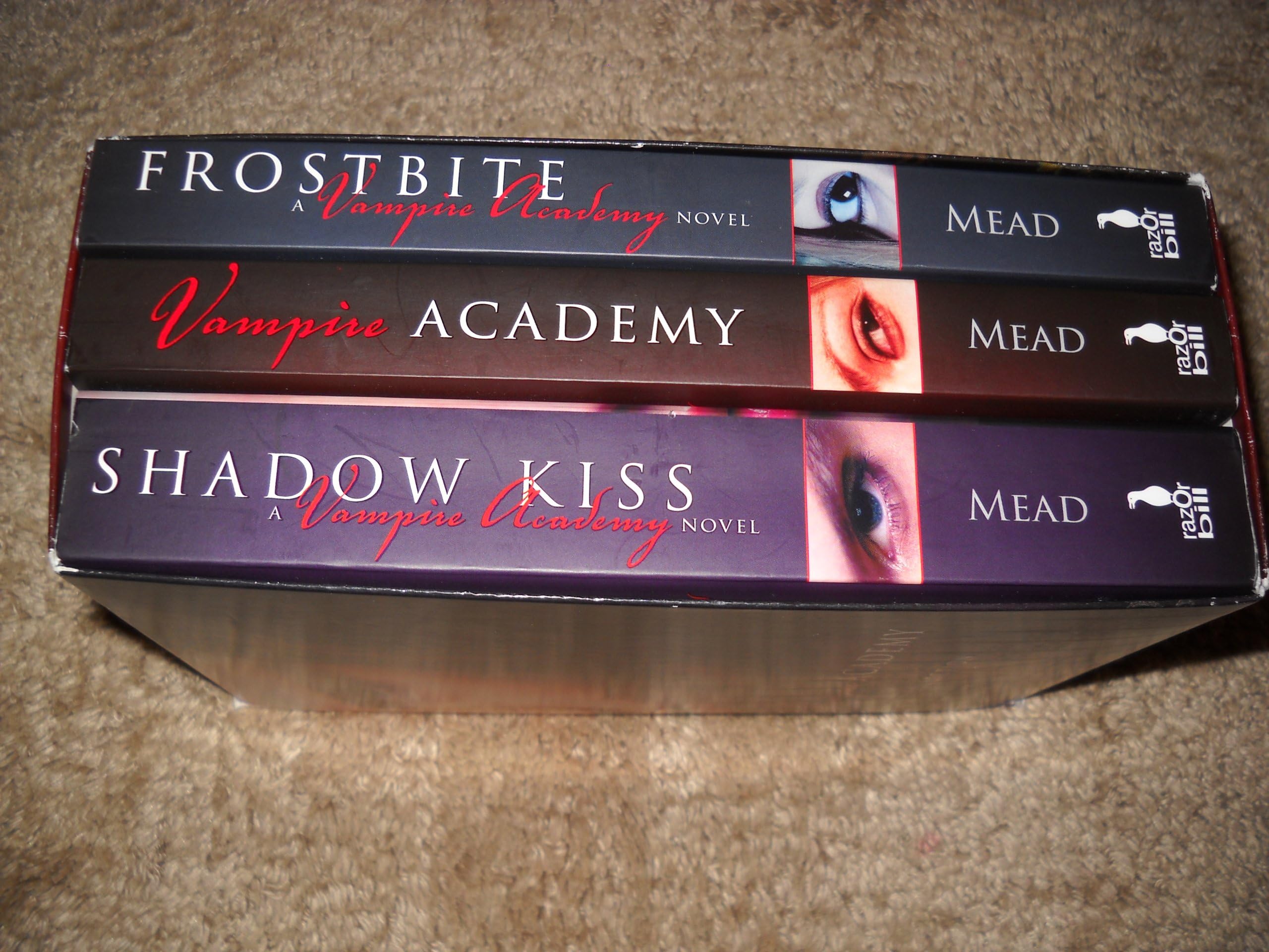 Vampire Academy Paperback – October 13, 2009