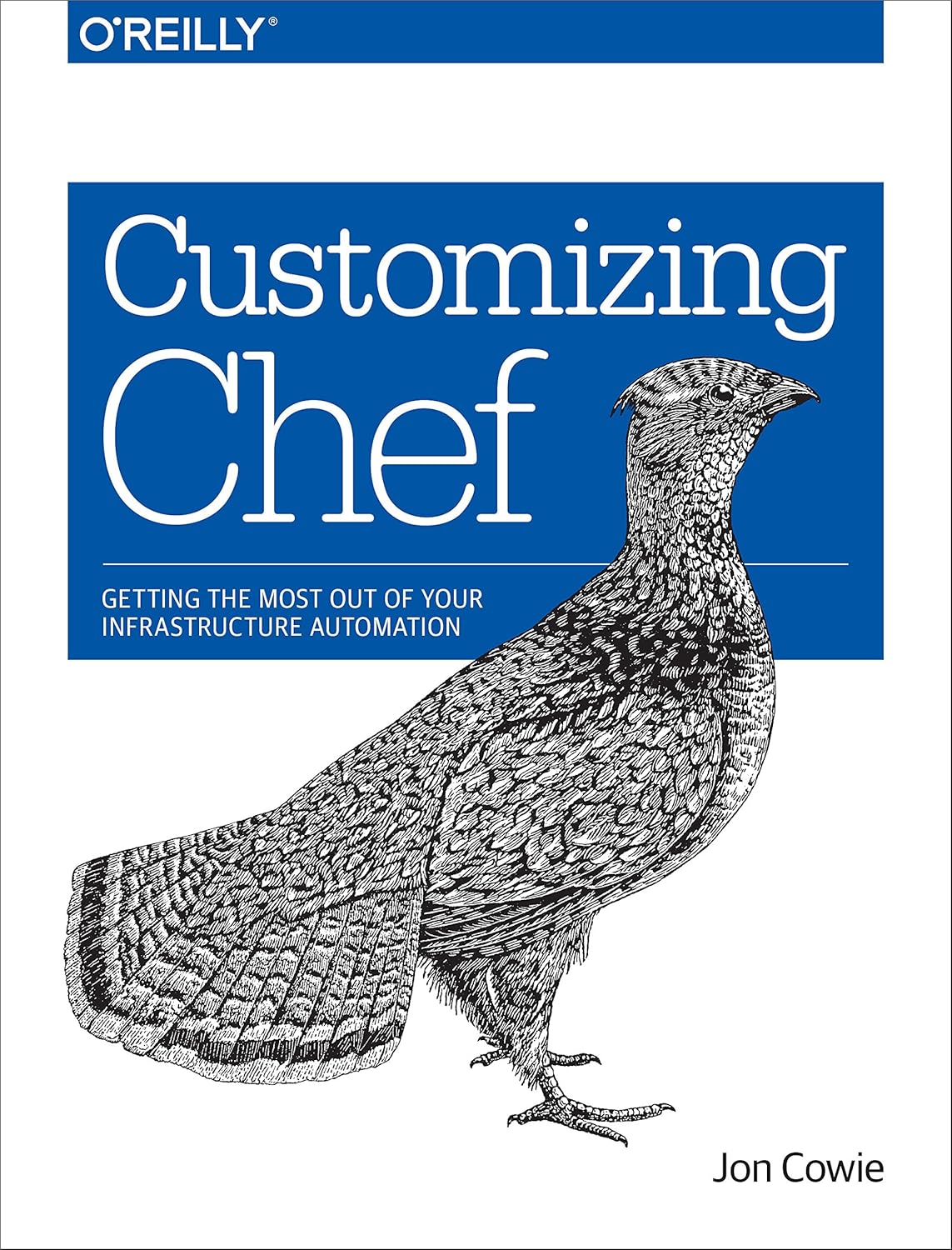 Maximize Your Infrastructure Automation with Chef Customization