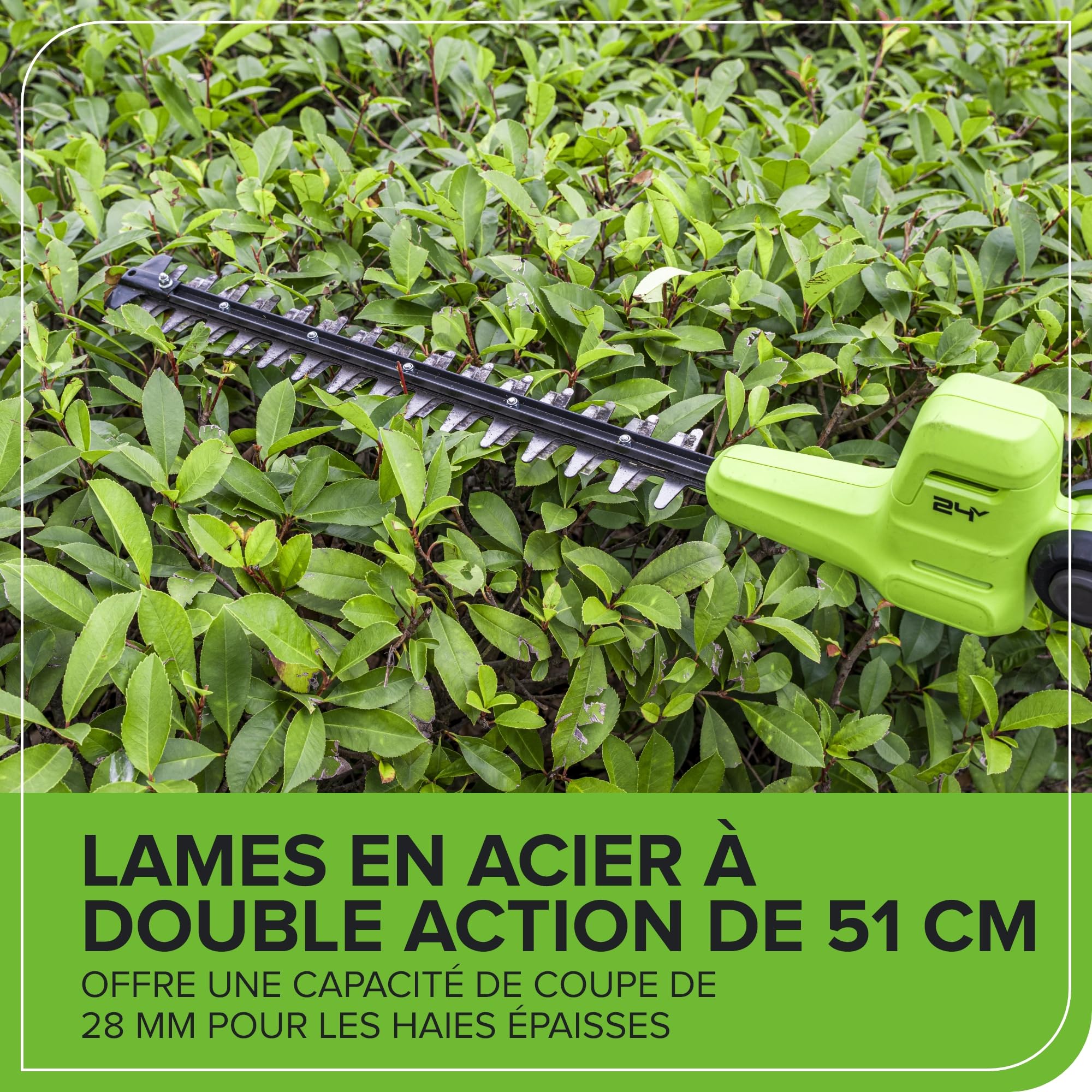 Greenworks 24V Cortasetos Pértiga a Batería con Eje Divisible, Cuchillas Doble Acción 51 cm, Cortes 28 mm, Pivote Cabezal de 112.5°, 3200 SPM SIN Batería ni Cargador PH24B01-01