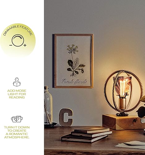 Miniatura 2 de Next Glow Bombilla decorativa Eq 20W estilo hielo en forma de bombilla LED E26 base media, regulable, bombilla cálida ahumadagris de 55 lúmenes, con