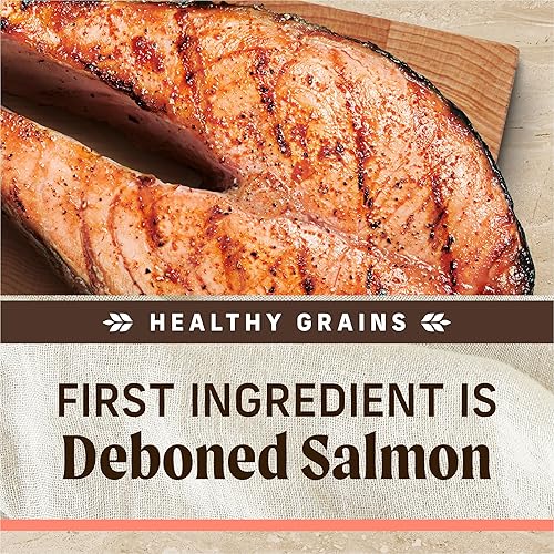 Miniatura 4 de Merrick Classic Healthy Grains - Alimento seco para perros con carne real