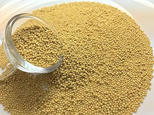 Miniatura 9 de Semilla de mostaza amarilla orgánica, Sinapis alba, sin rellenos, sin aditivos, calidad premium (2)