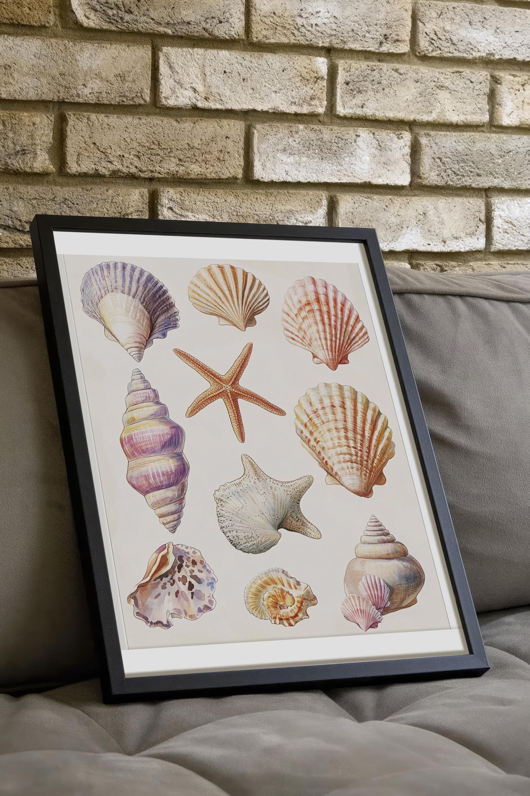 Zestia Siyah Çerçeveli Tablo, Doğanın İncileri – Estetik Kabuk Detayları Poster No: 107444 50 x 70