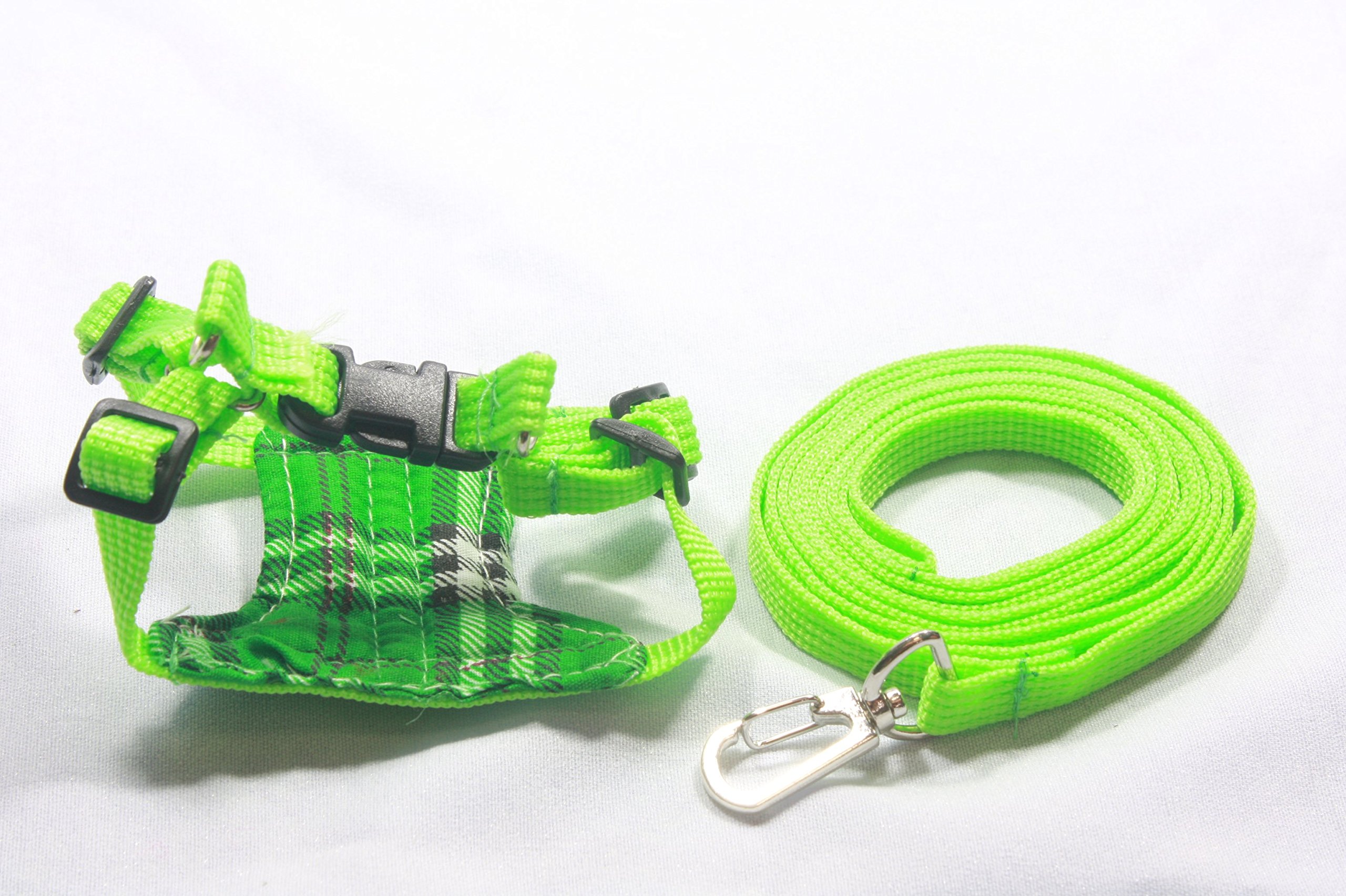 Leashes Lead Pet & Soft Harness,Guinea Pig,Rat,Hamster,Rabbit,Ferret,Prairie Dog (Light Green)
